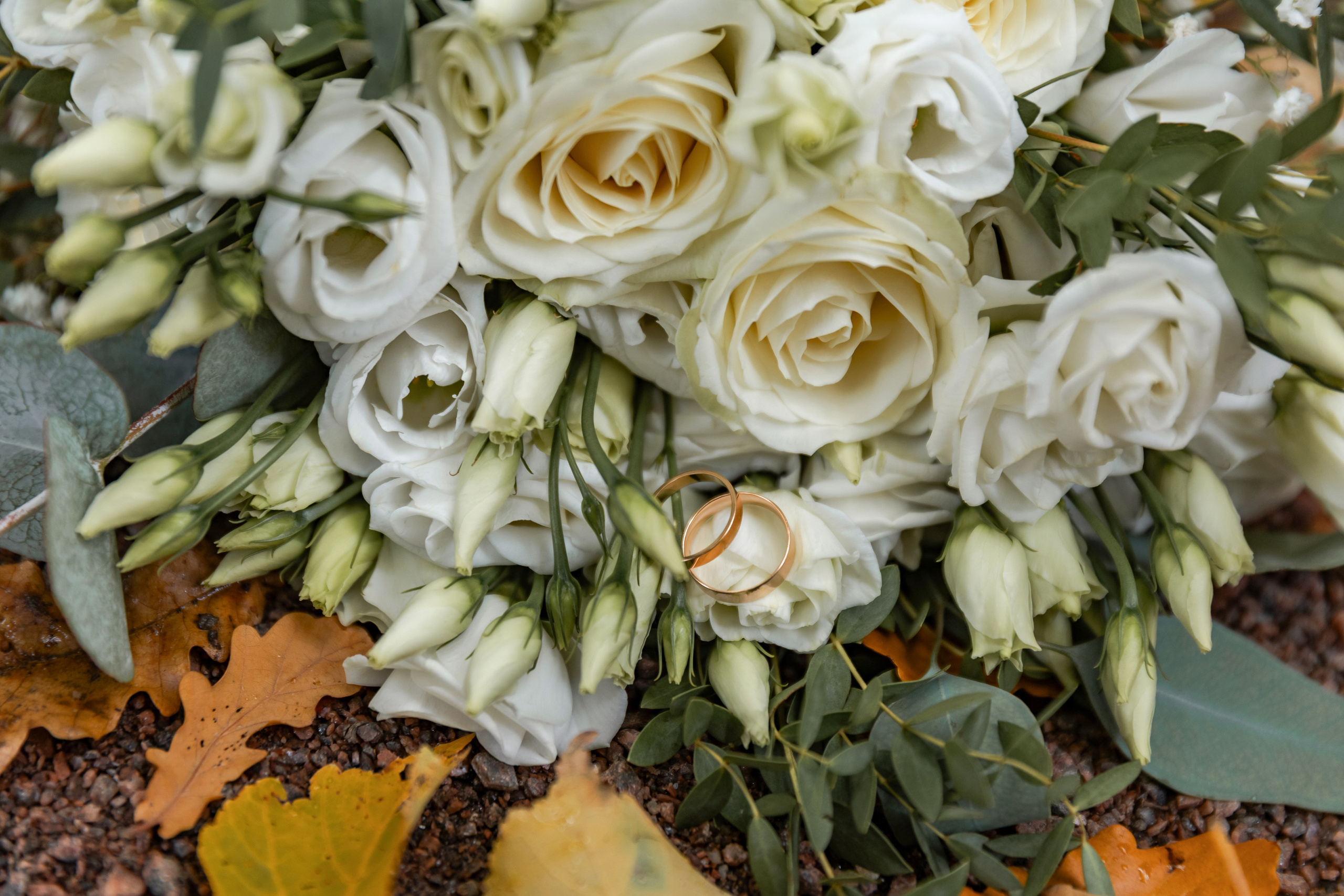 Свадьба Софии и Александра. Свадебный и портретный фотограф в Санкт-Петербурге Надежда Чечулина