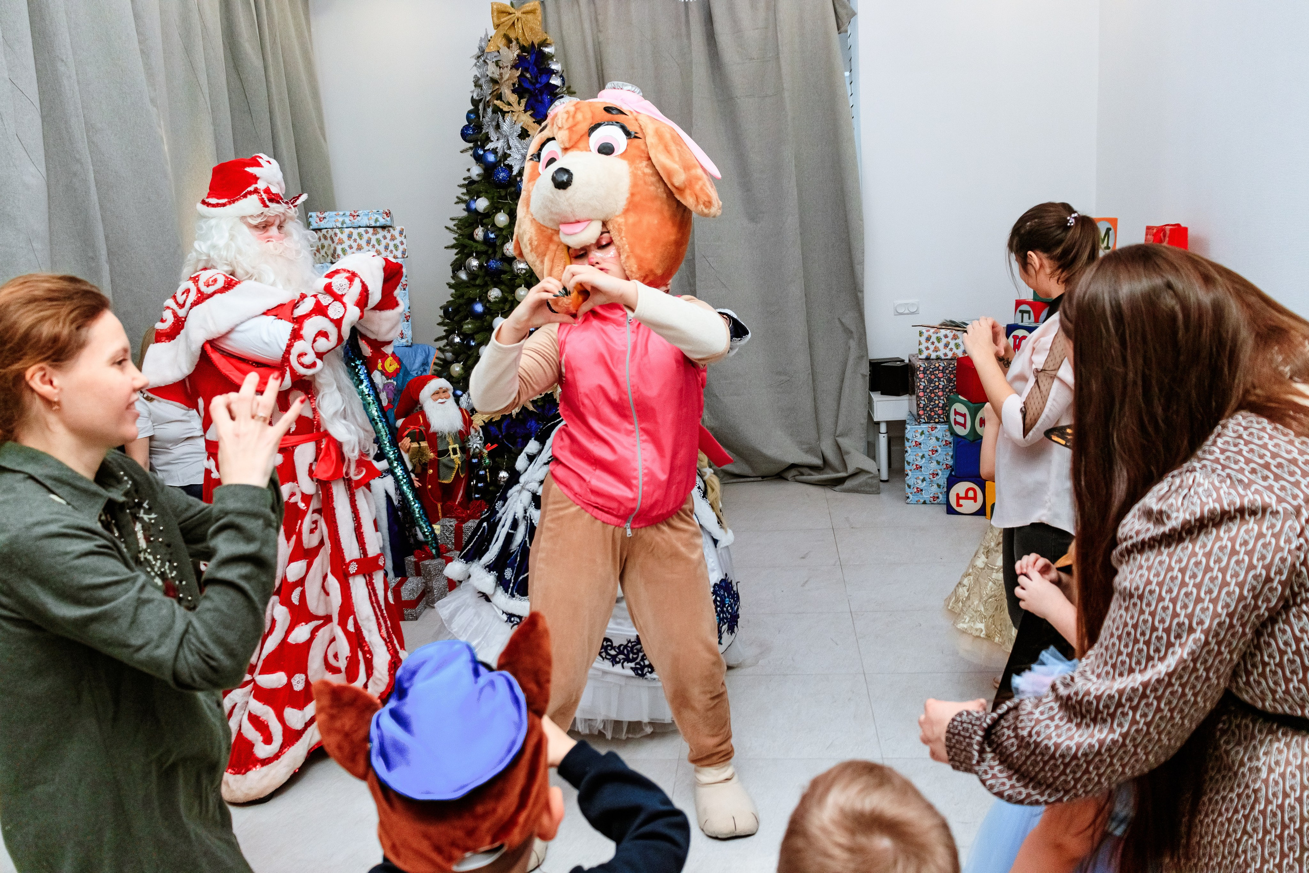 Знайка. Щенячий новый год. Фотограф — Новосибирск