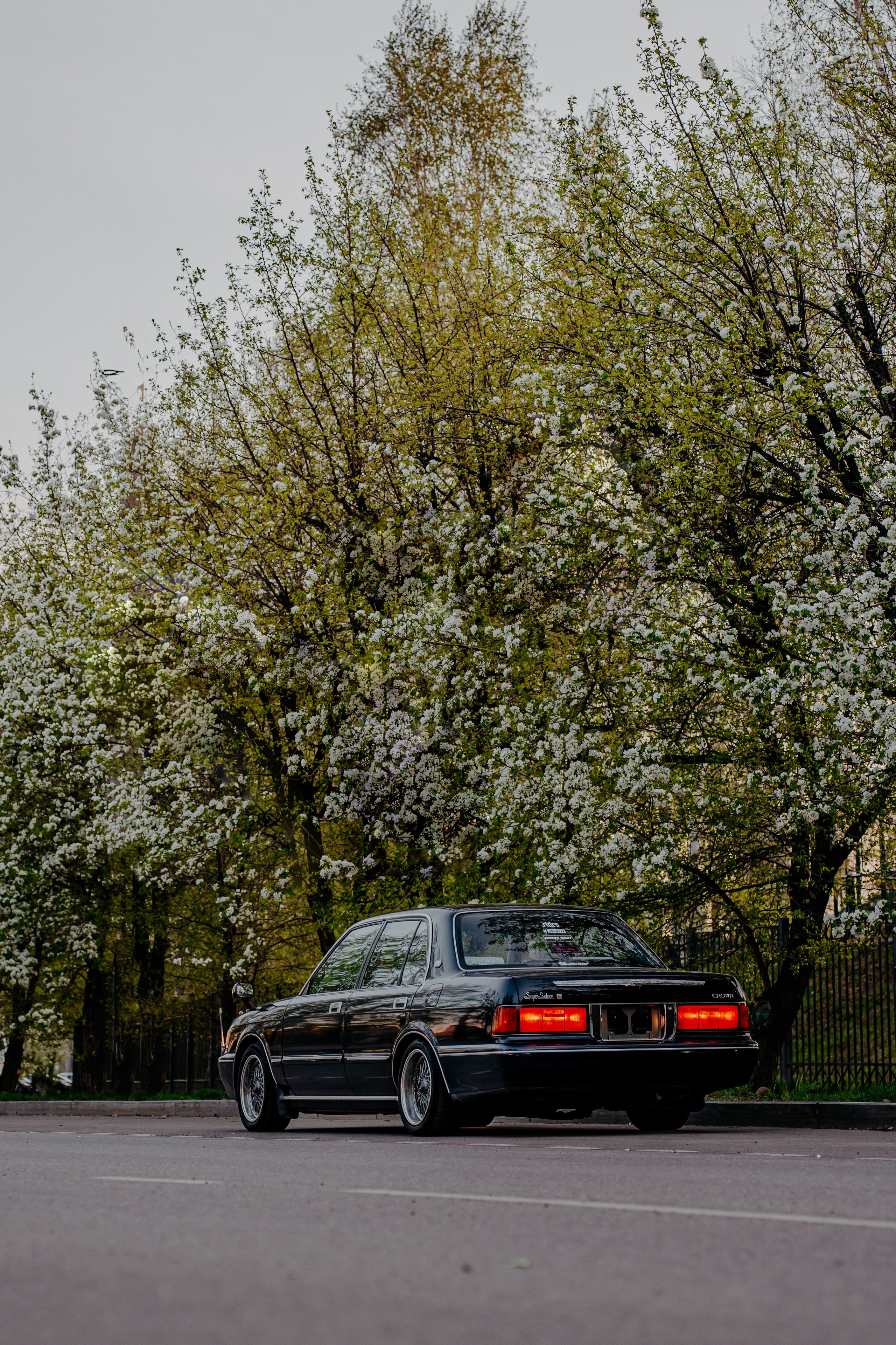 Toyota Crown 25'. Фотограф, видеограф и пилот дрона на Байкале