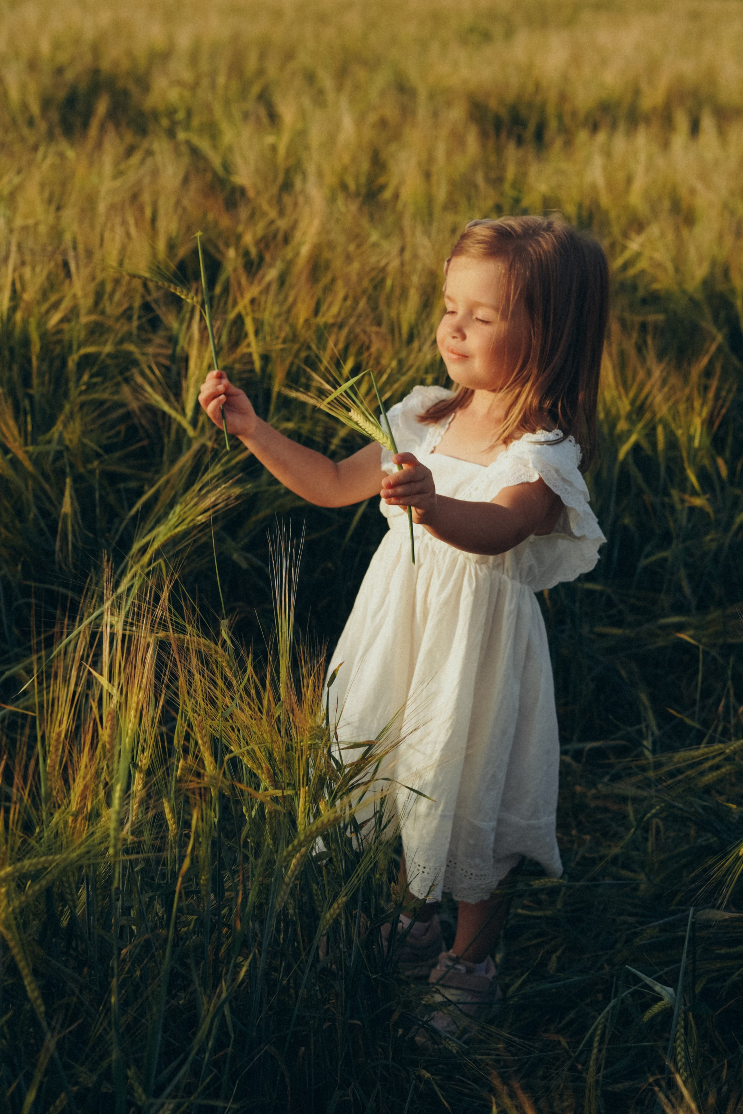 Пшеничное поле. Семейный и женский фотограф в Санкт-Петербурге Татьяна Стружкина
