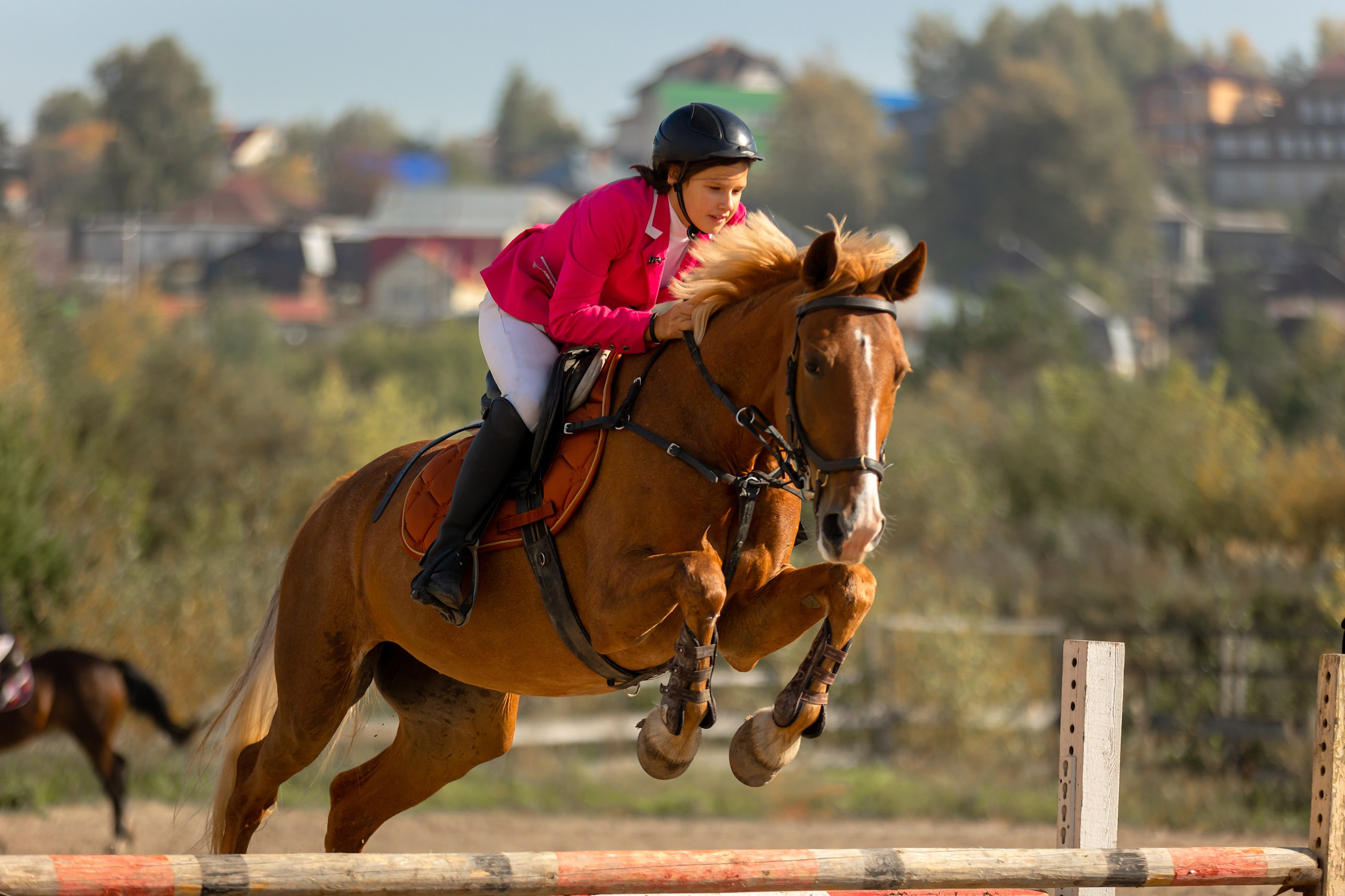 Соревнования по конному спорту. Конный фотограф Валынкина Лера