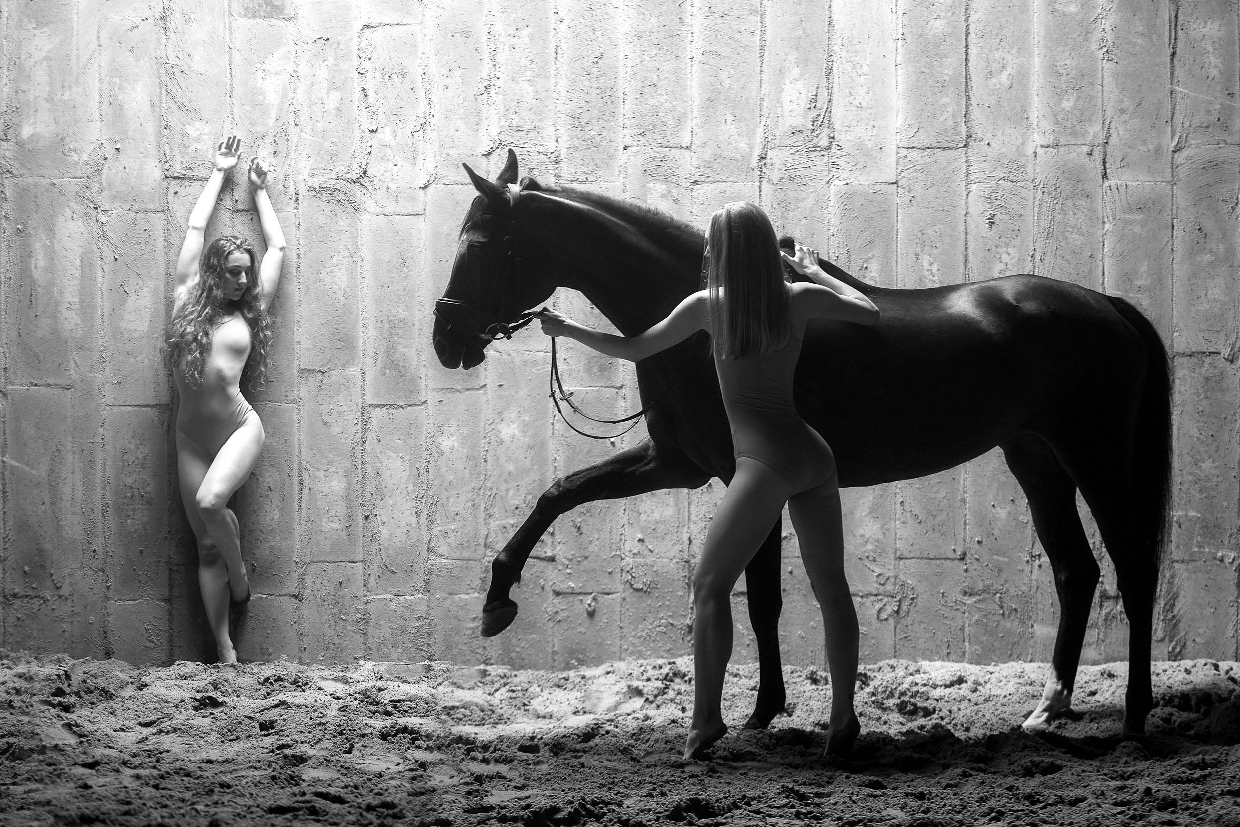 Фотопроекты и съемки на природе, с лошадьми, самолетами и авто. Выездная фотосессия. Фотограф, фотопроекты Михаила Семенова в Ярославле. Фотошкола