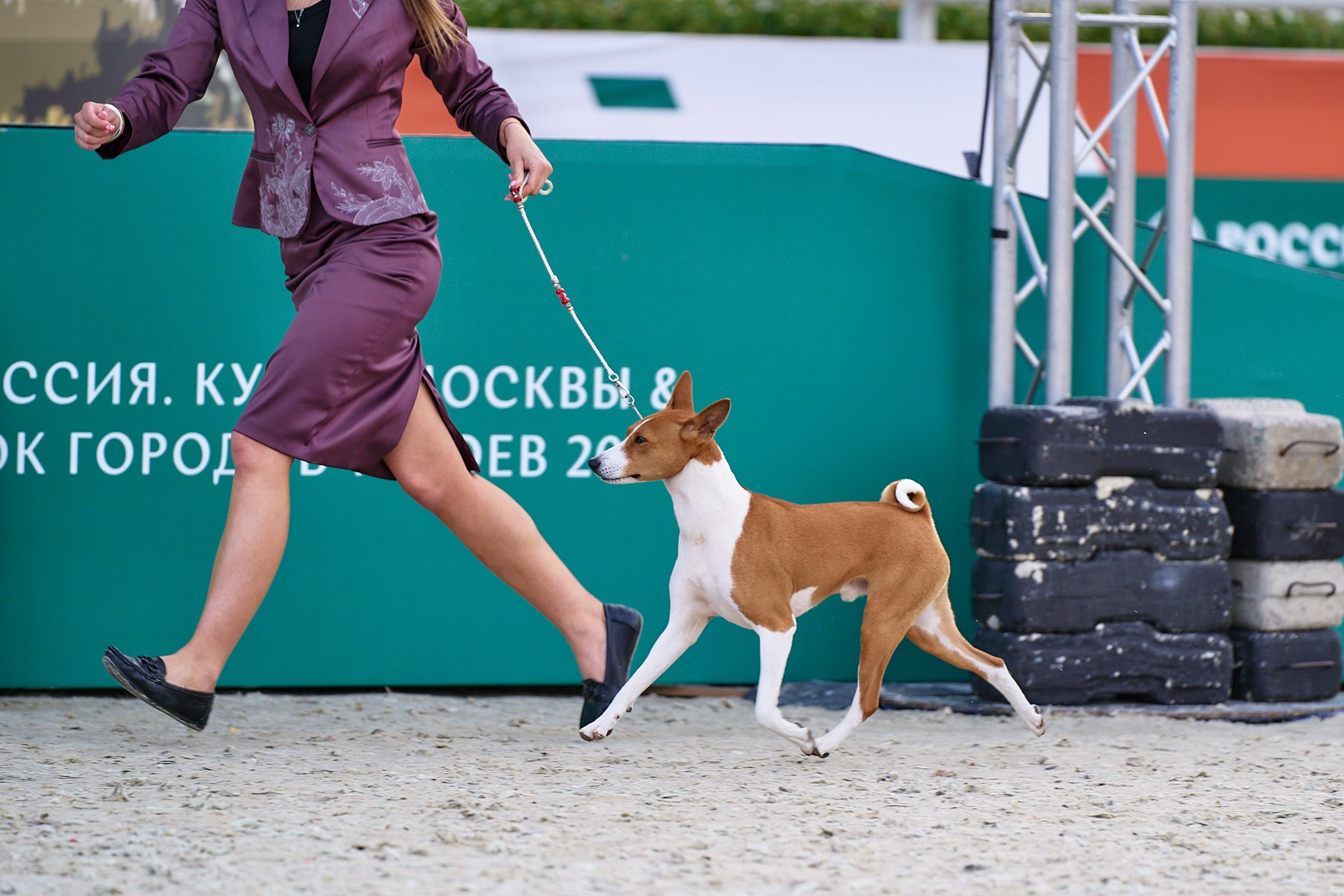 09.06.2024, «РОССИЯ. КУБОК МОСКВЫ 2024 & КУБОК ГОРОДОВ-ГЕРОЕВ»