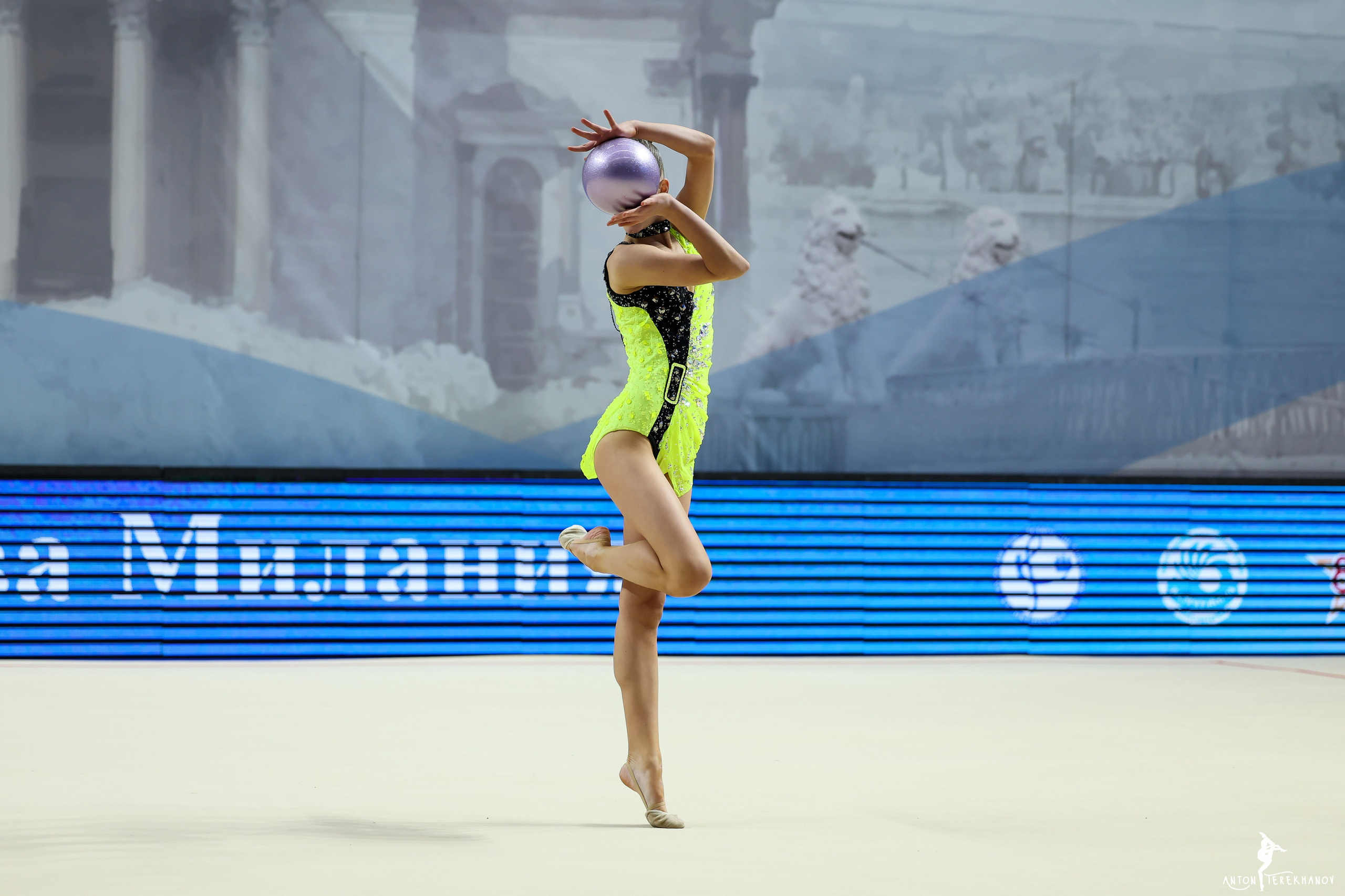 Чемпионат Санкт-Петербурга 2024. Спортивный и репортажный фотограф Антон Тереханов
