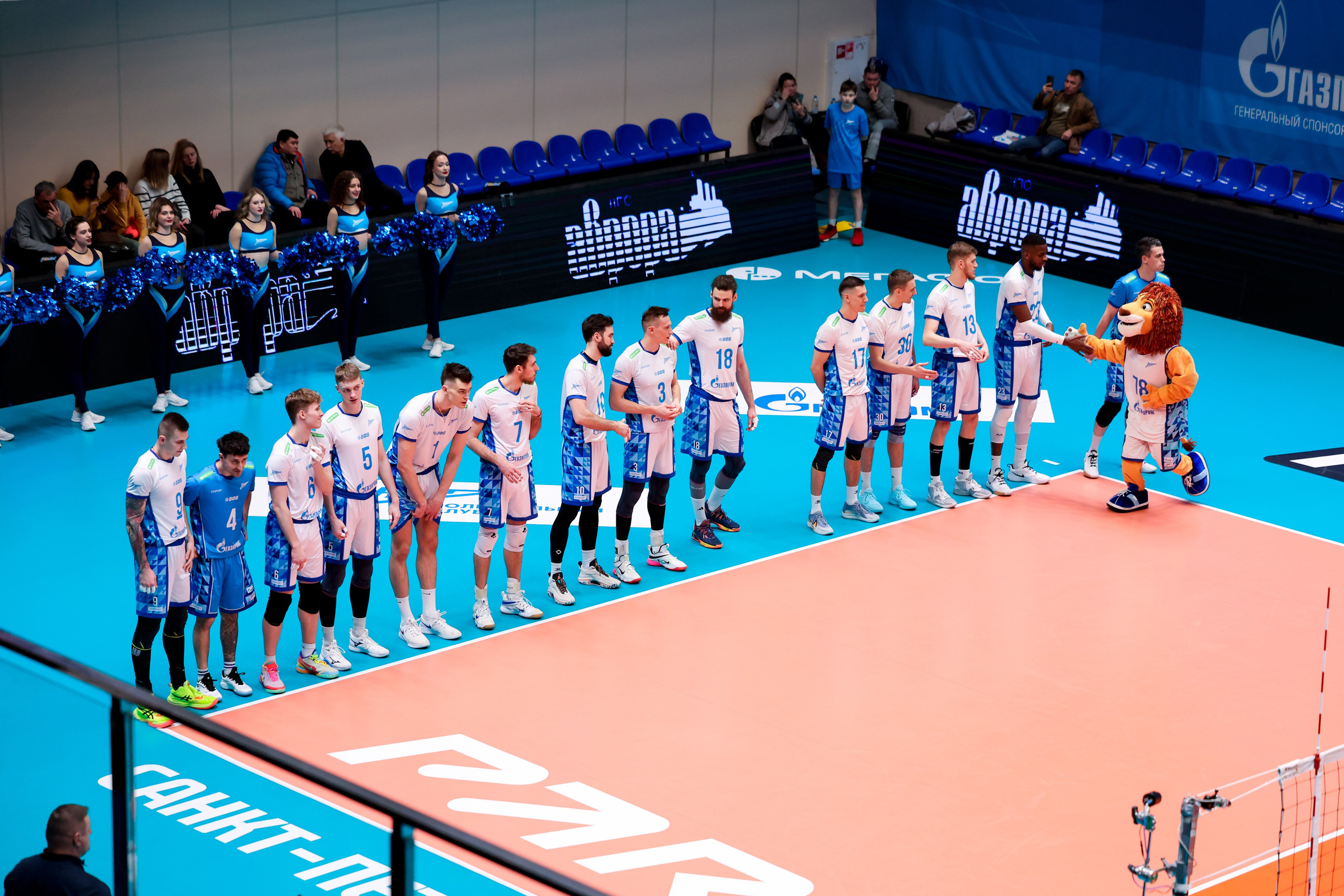 ВК Зенит — ВК АСК 15.03.2025. Спортивный и репортажный фотограф Антон Тереханов