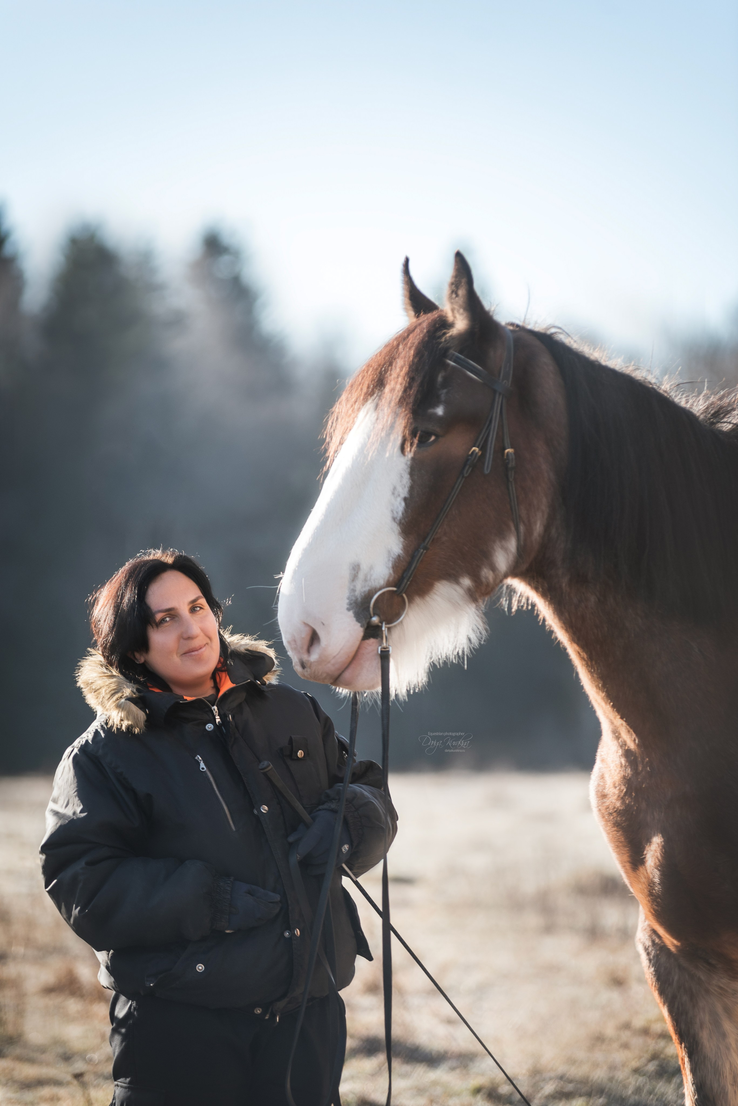 Komardins. Конный фотограф Куракина Дарья • Фотосессии с лошадьми