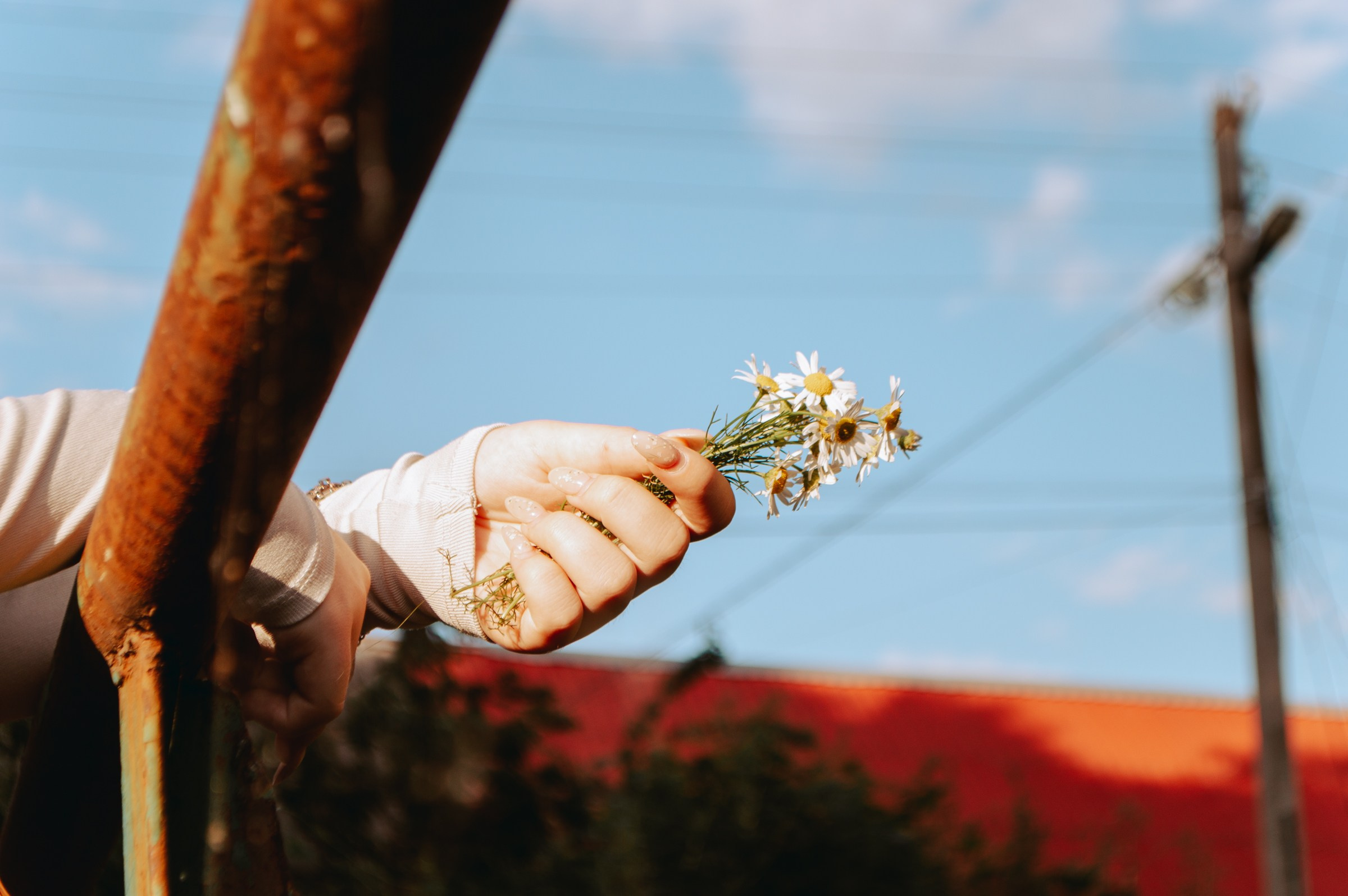 Фотосессия 6