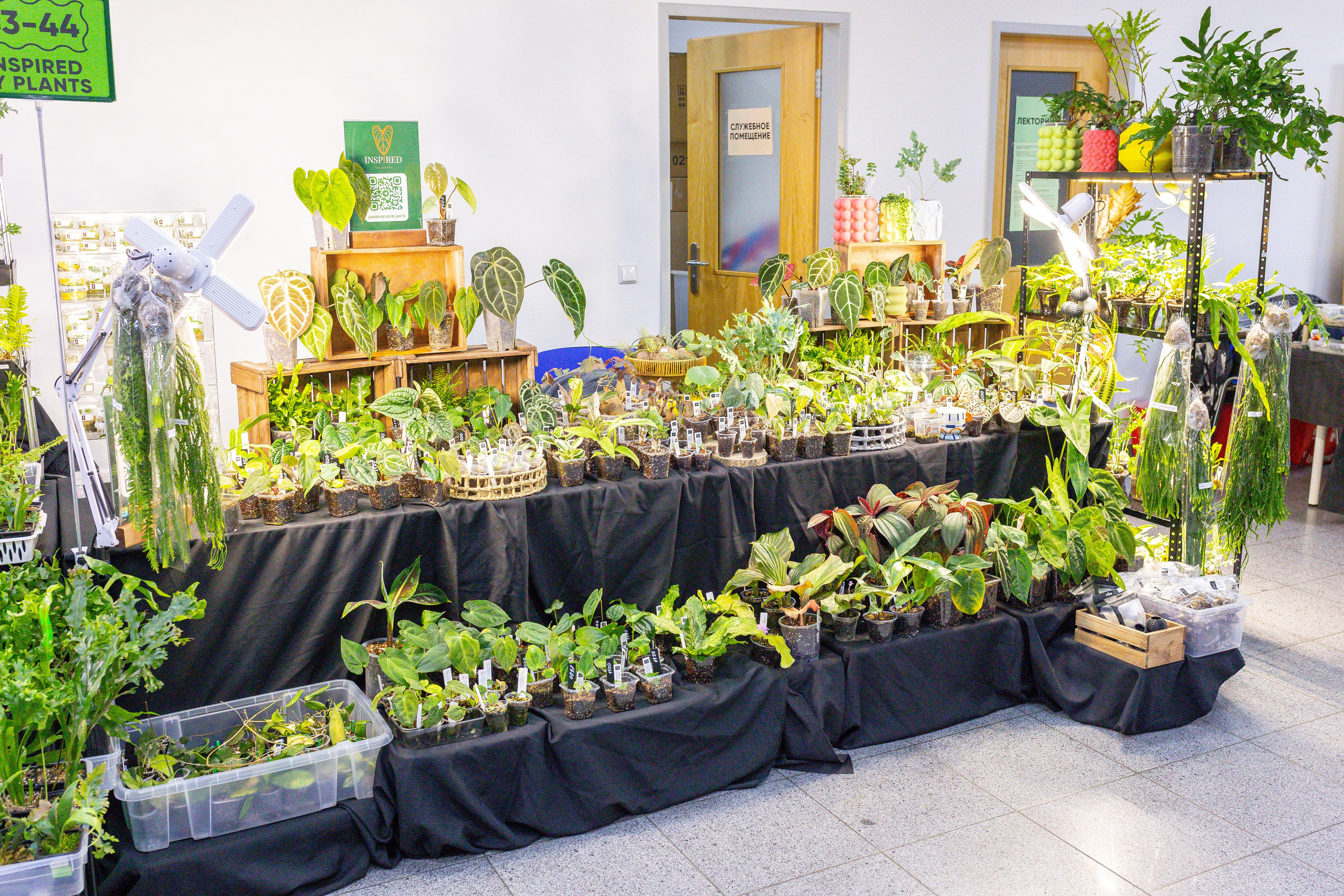 Монстериум 11–12 октября. Александра Куликова фотограф, Москва