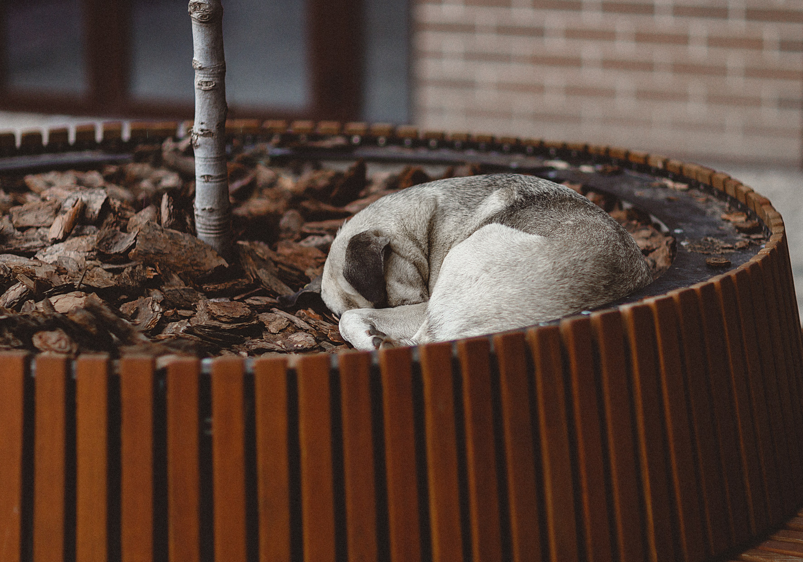 Проект «366»|2024|Фото каждый день. LENA GRACE photographer ||ЛЕНА ГРЭЙС фотограф