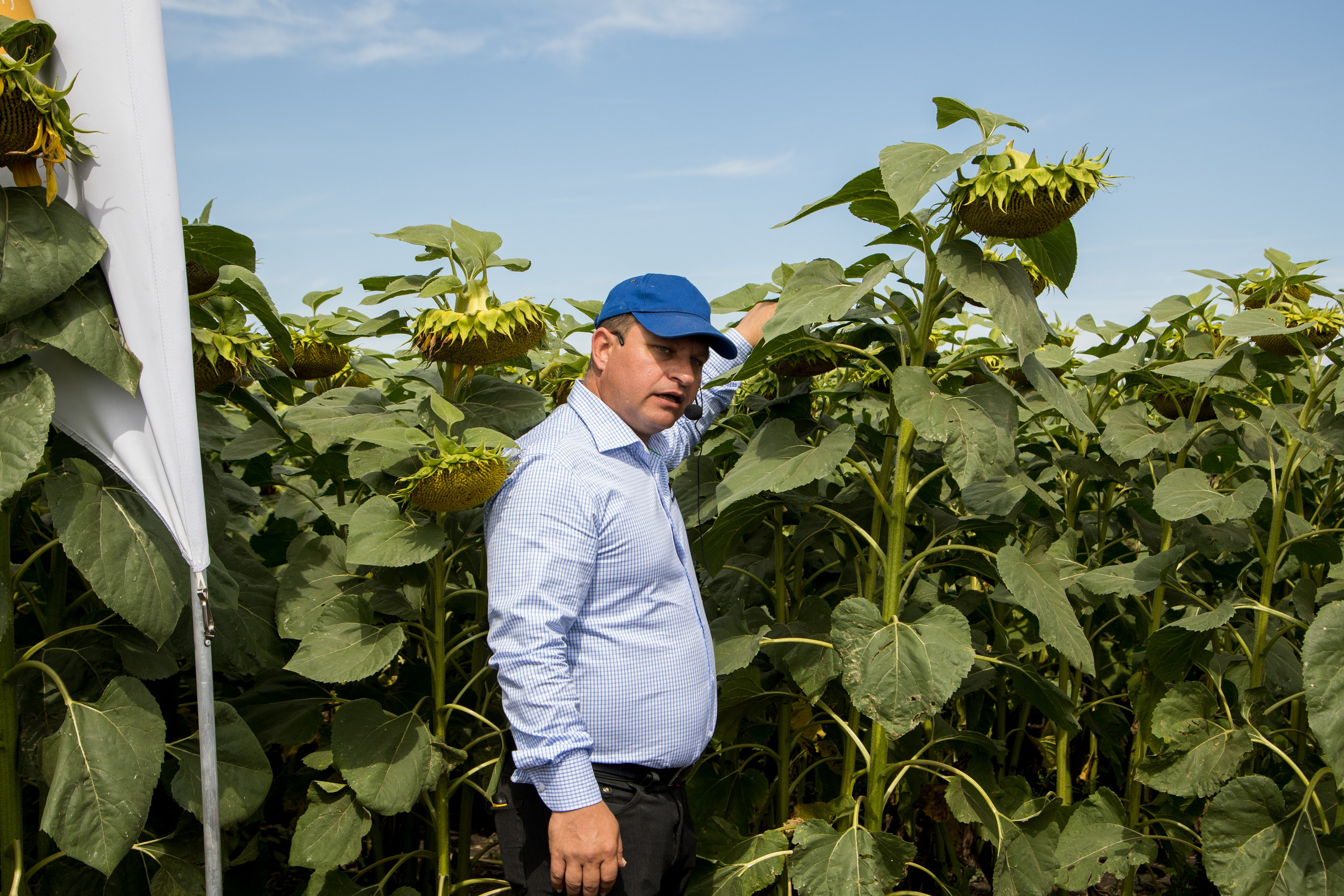 Решения для сельского хозяйства BASF 16.08.2022. Владислав Волков | Фотография и видеосъемка в Воронеже