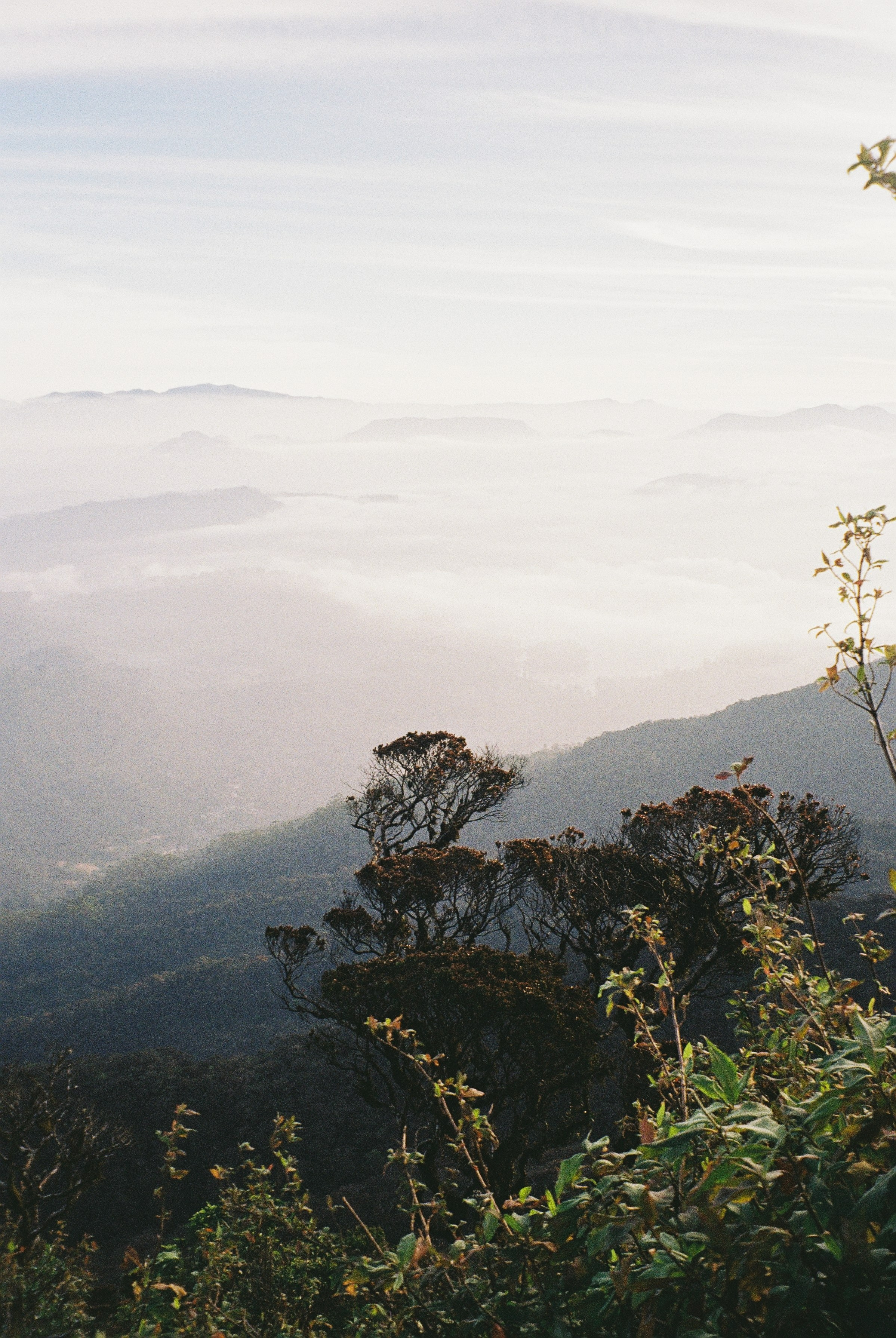 Пленка. Фотограф Ирина Гринько Тольятти Самара Москва