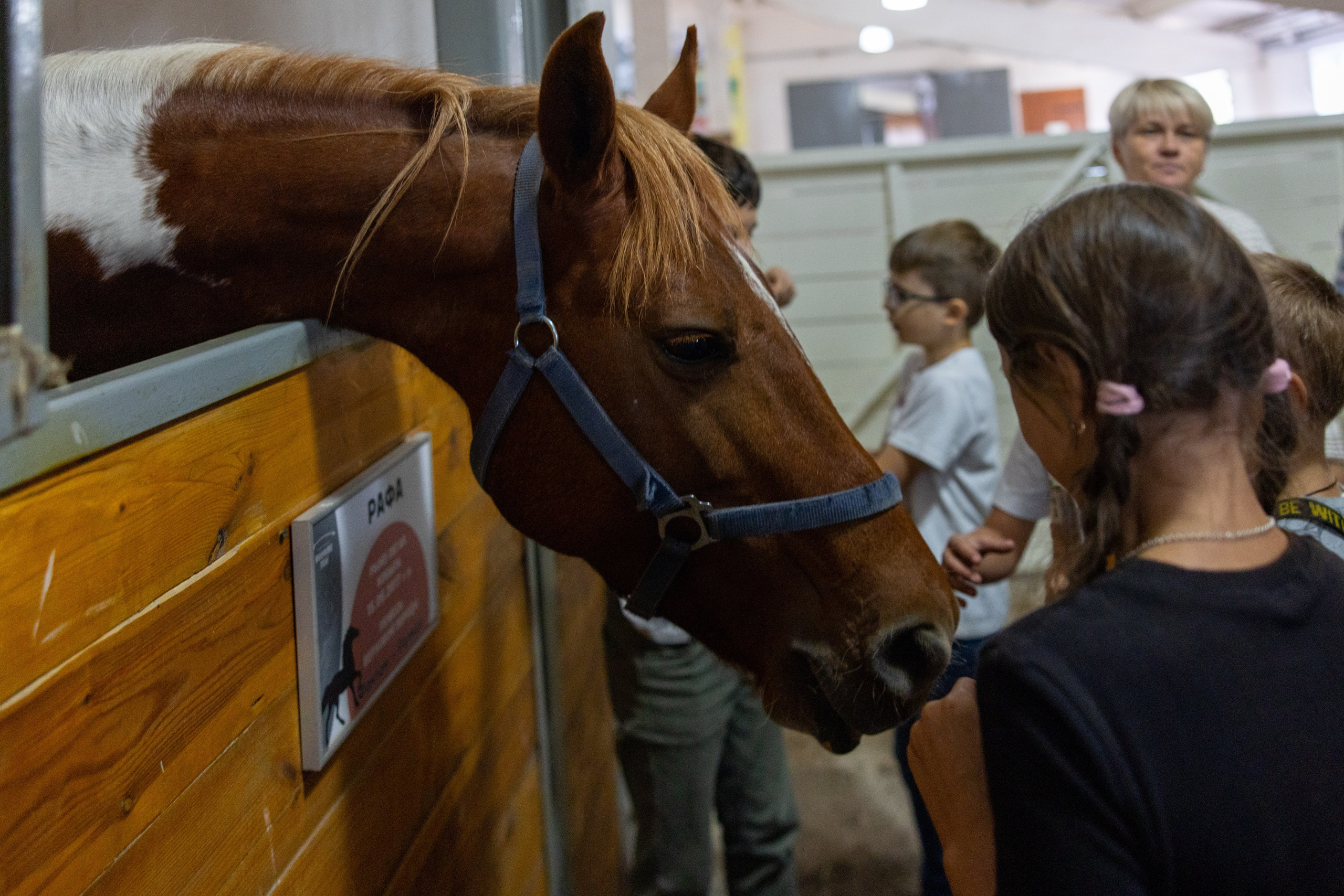 Поездка на поле Кулеково. Фотограф в Туле Крупский АнДРей. Фотостудия «КАДР71» в Туле