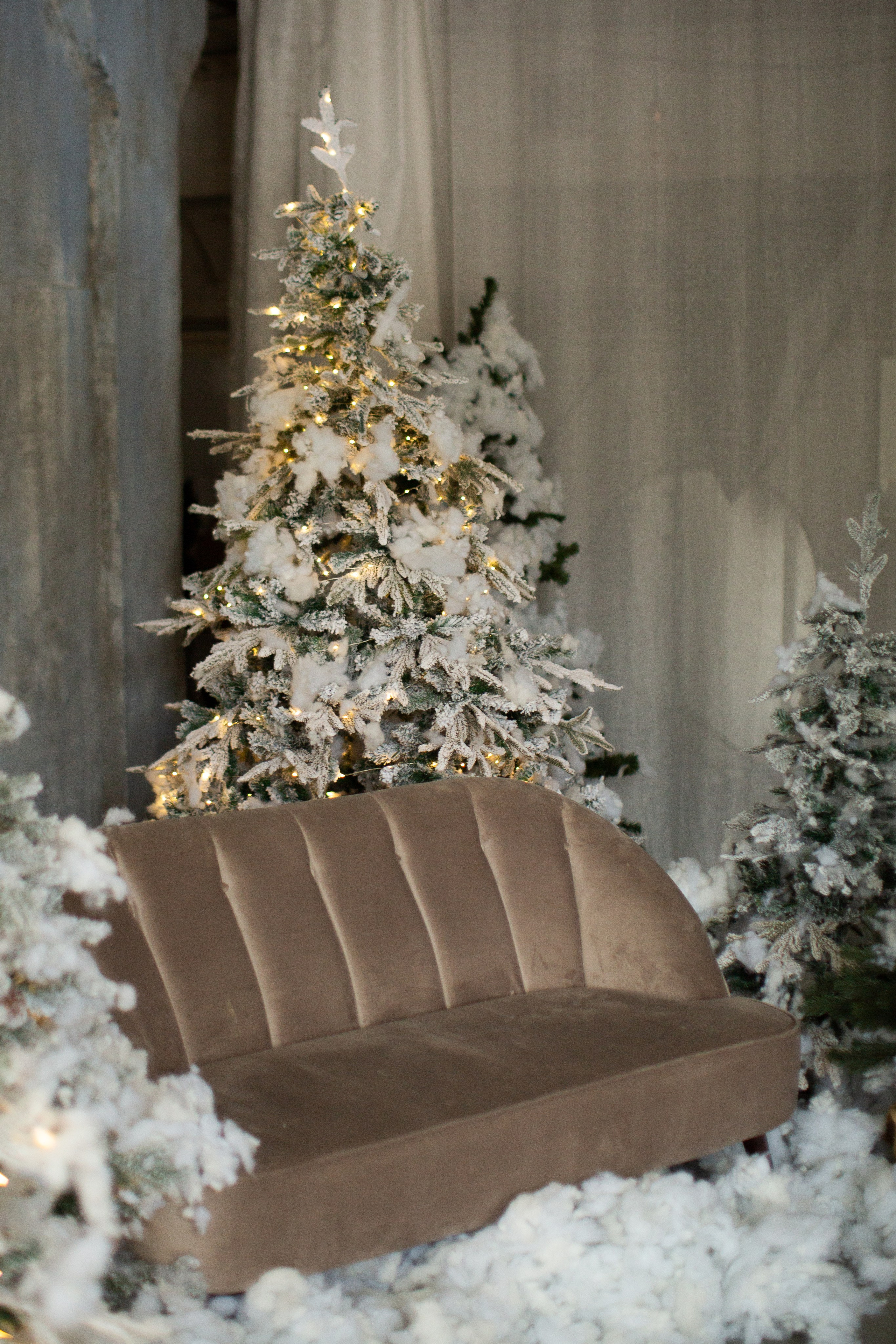 Нг24. Фотограф НатаФото (Наталья Яковенко) Дмитров Москва Питер