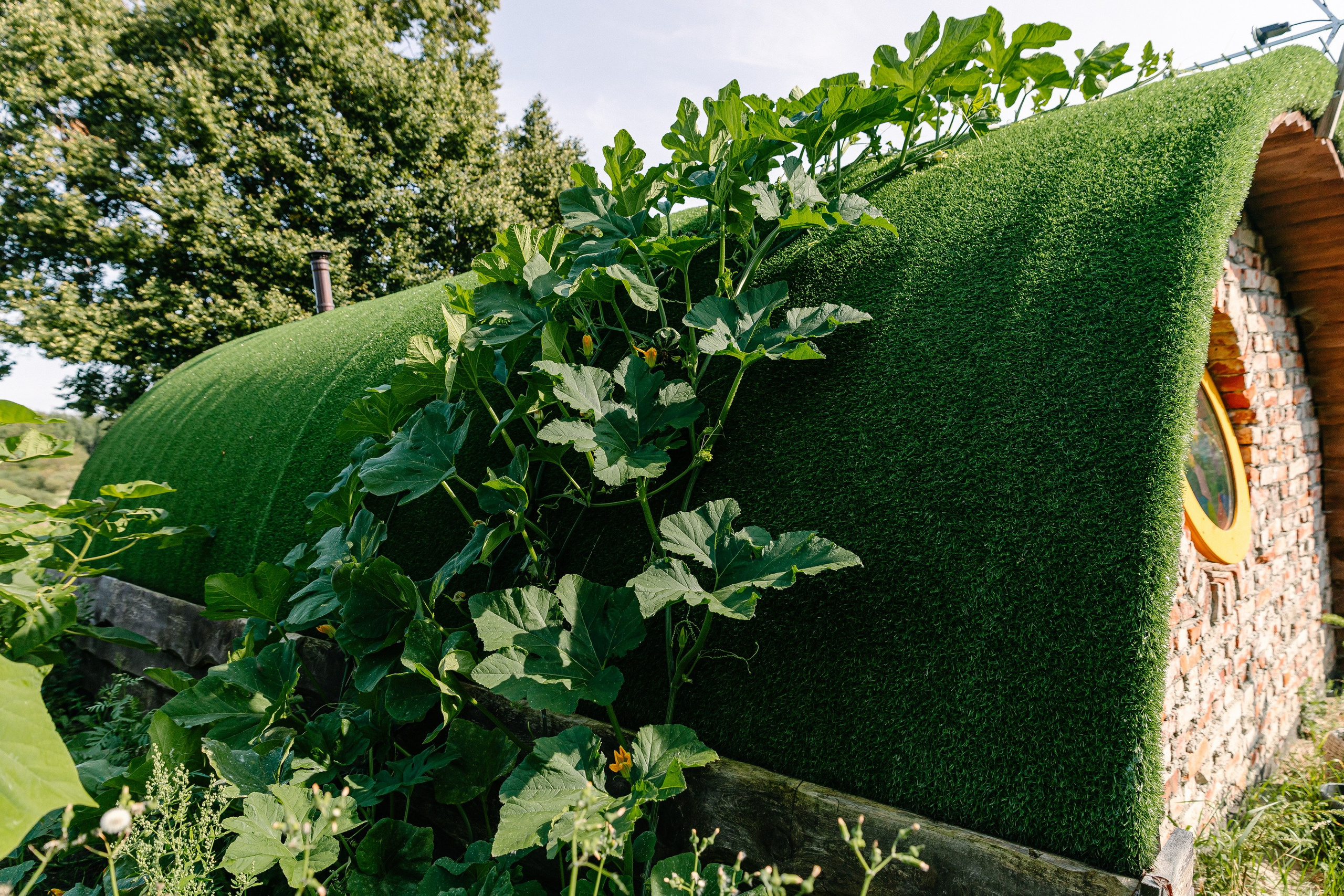 Съёмка объекта недвижимости Хутор Нёттникен. Свадебный, семейный и детский фотограф в Калининграде Елена Кравцова