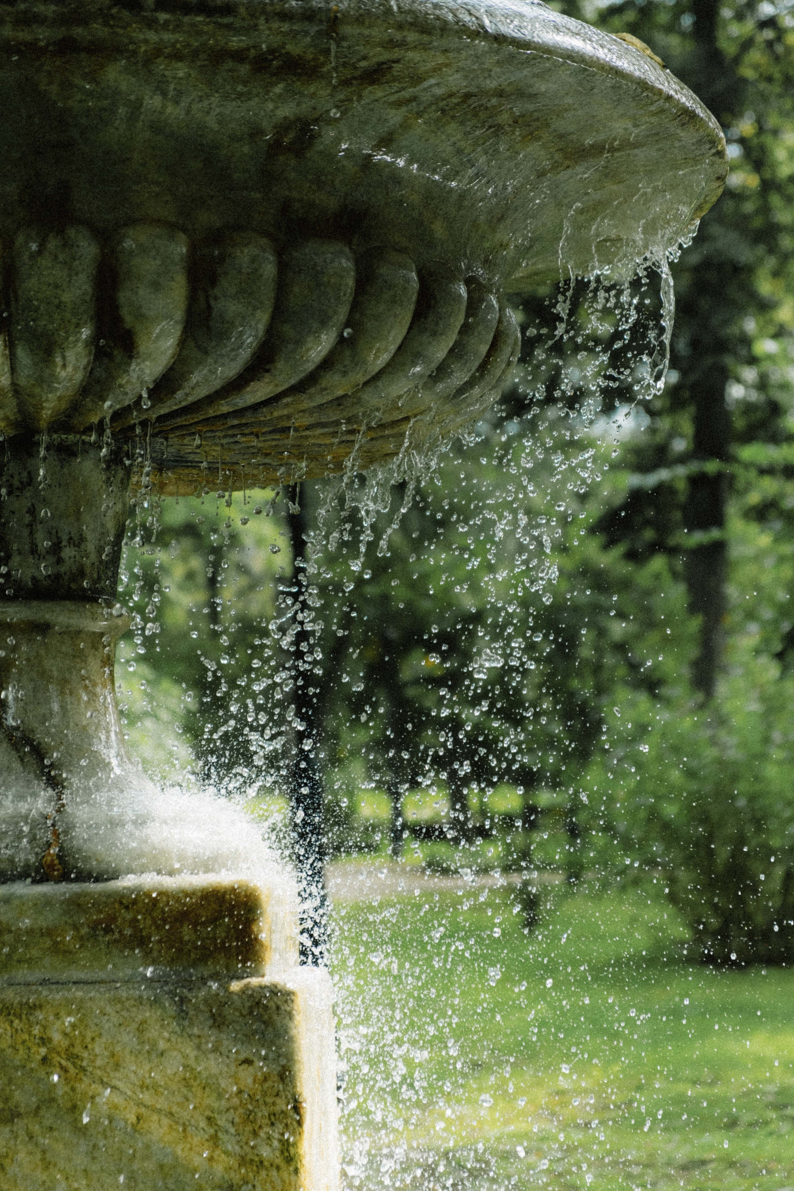 Замечательная повседневность. Контент-фотограф и видеограф в Перми