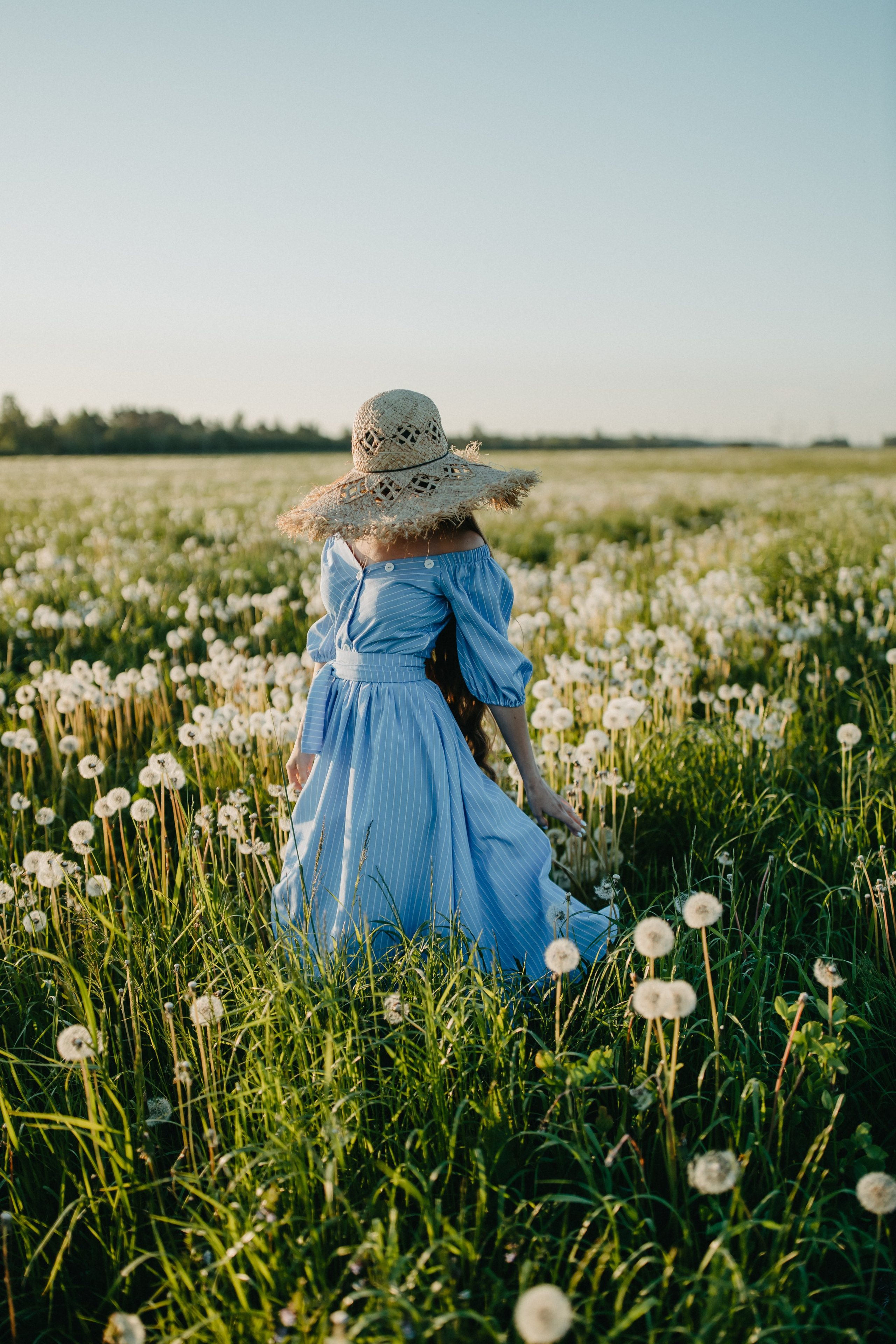 Одуванчиковое. Фотограф в Санкт-Петербурге Знаменская Ирина