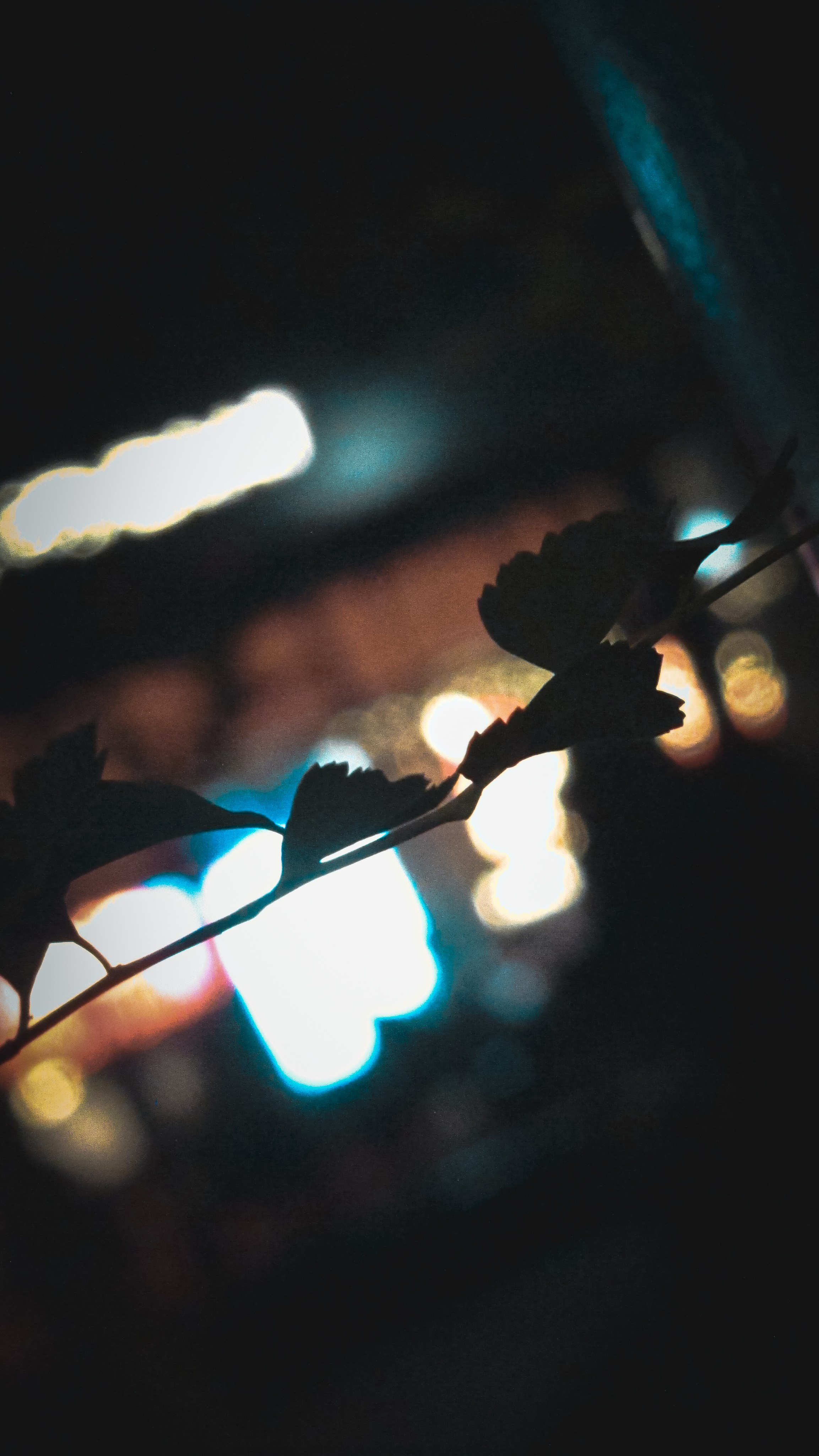 Детали. Фотограф в Ростове-на-Дону Ника Обида