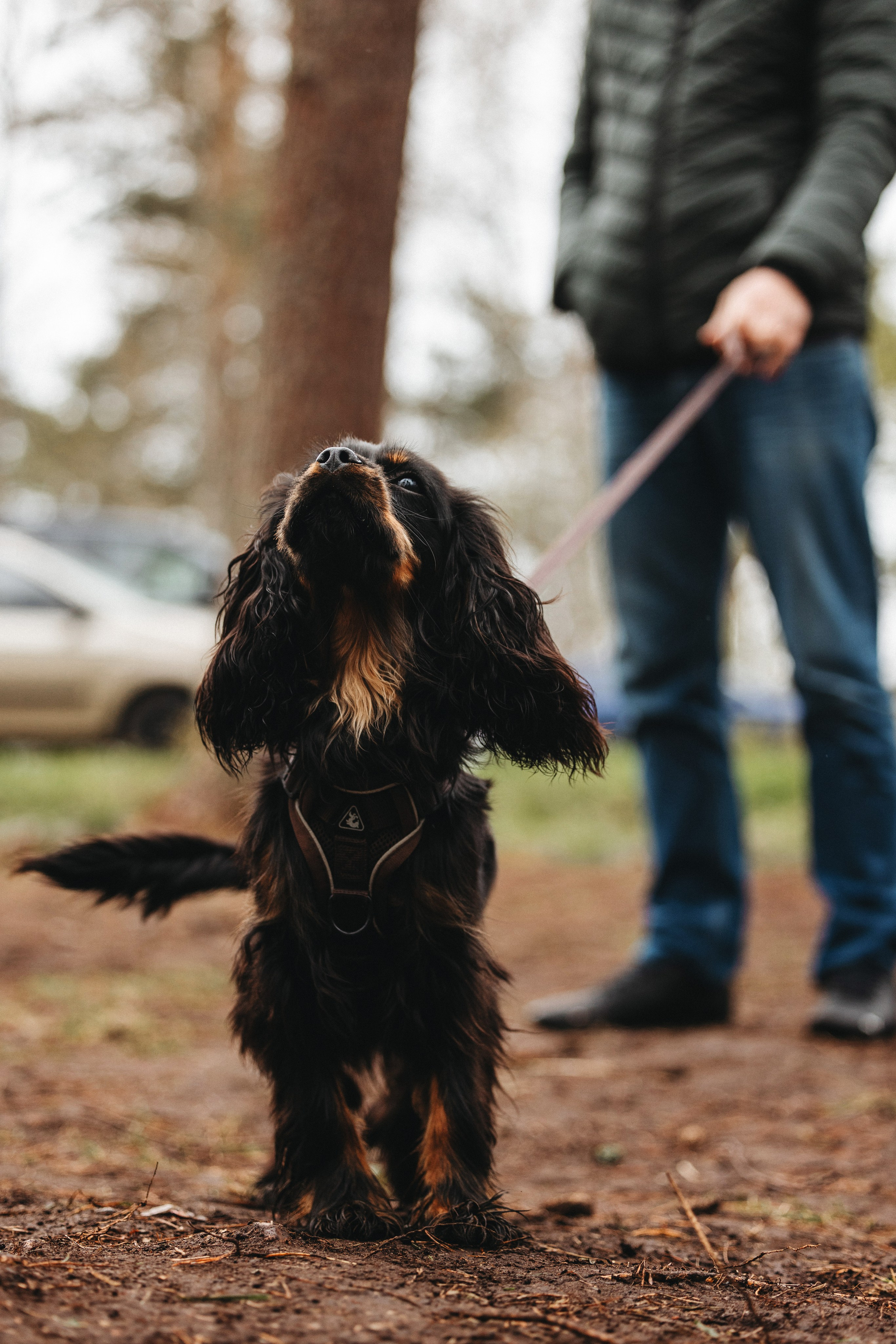 Встреча ККЧС. Фотограф анималист Осипчикова Мария