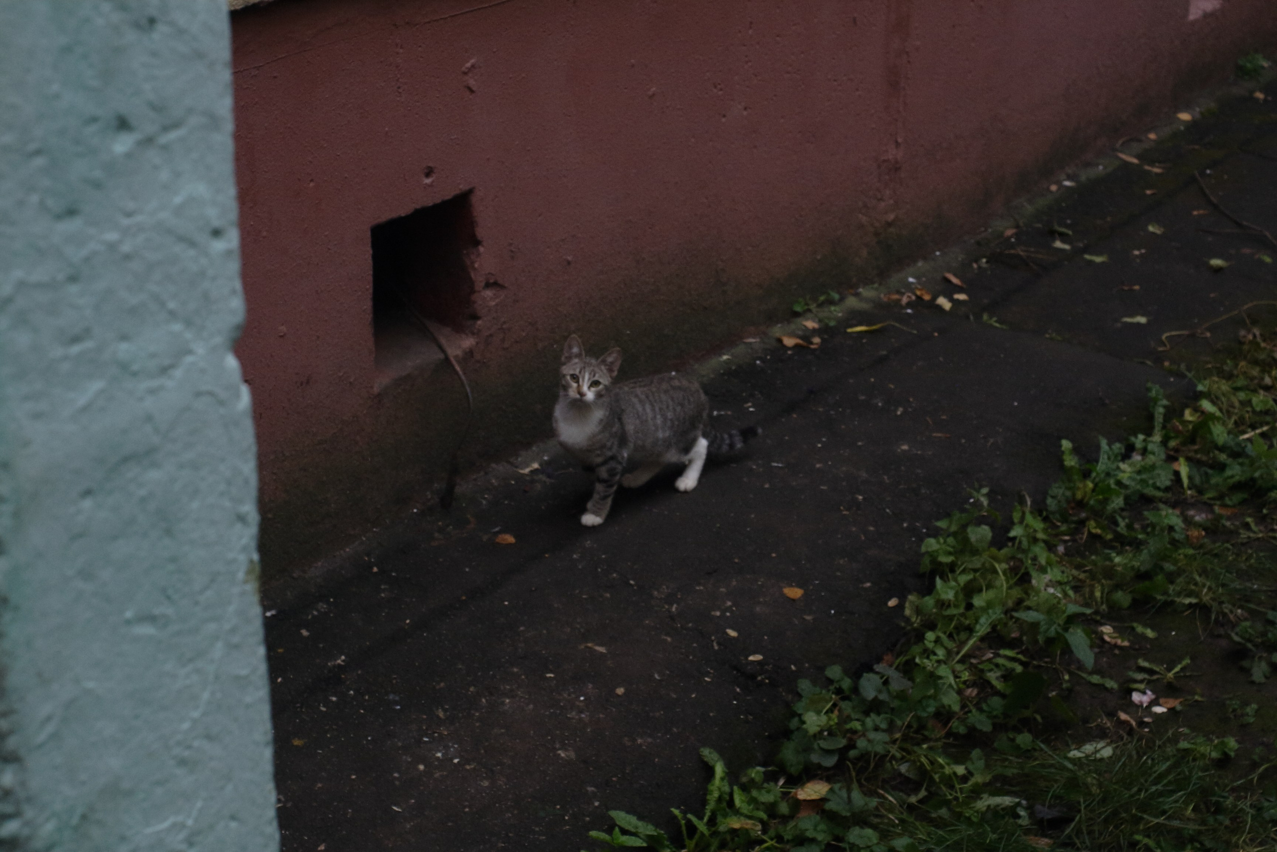 Старое природное, отбирала Katamount (Катерина Горохова). Главная