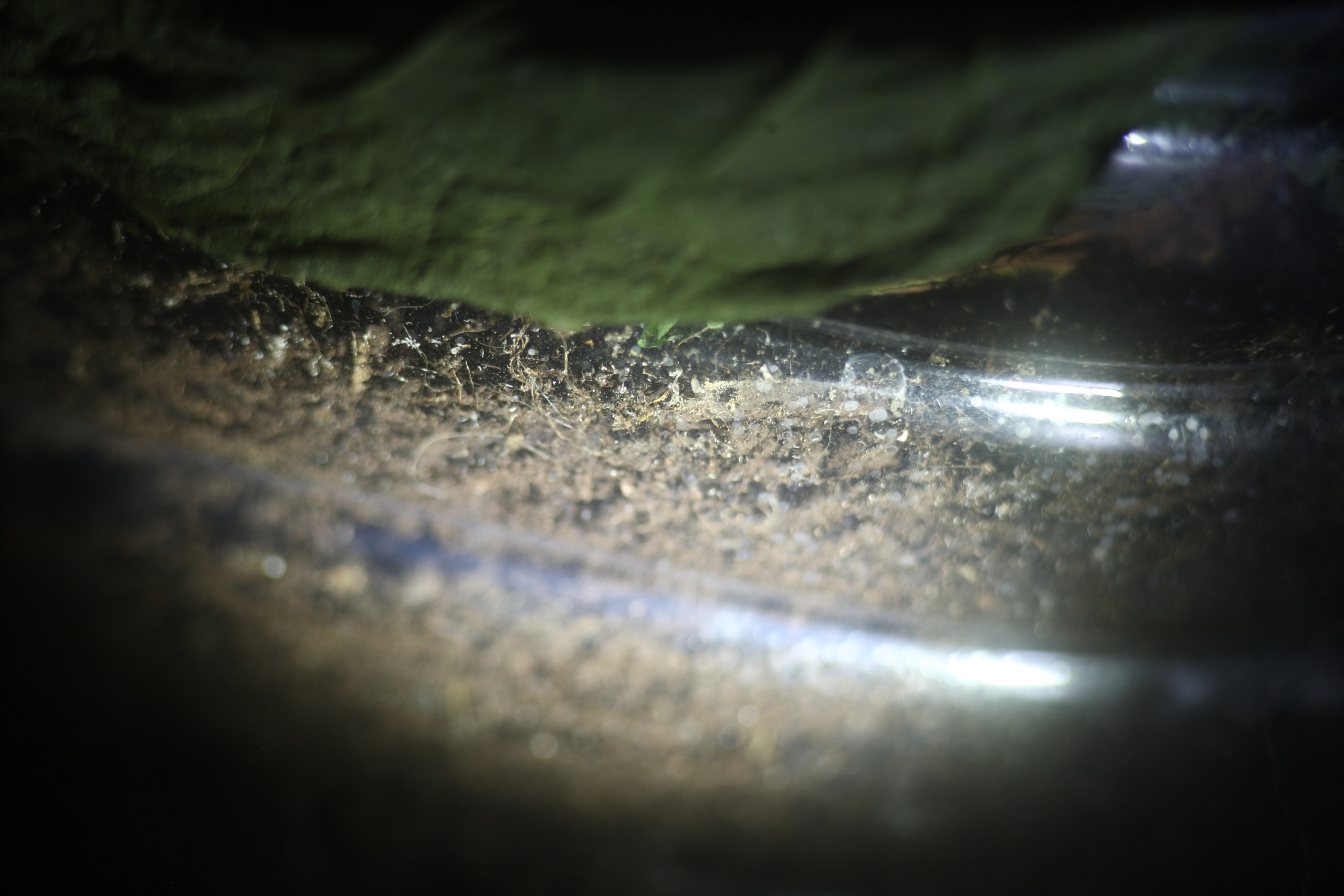 Старое природное, отбирала Katamount (Катерина Горохова). Главная