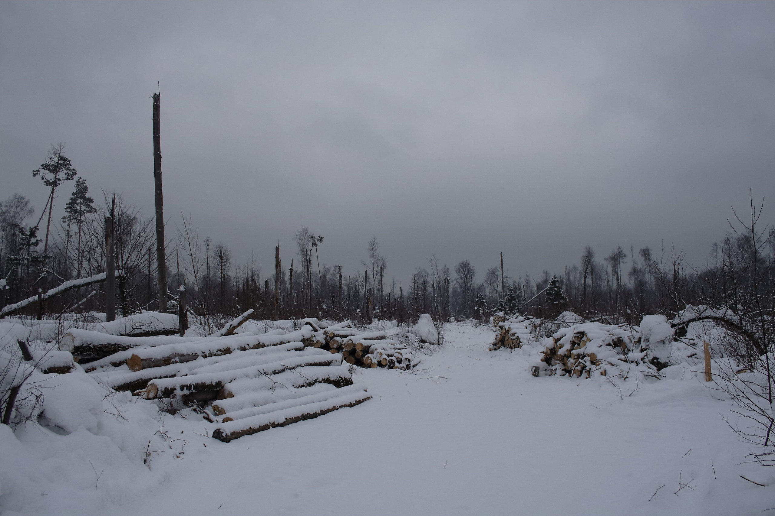 Старое природное, отбирала Katamount (Катерина Горохова). Главная