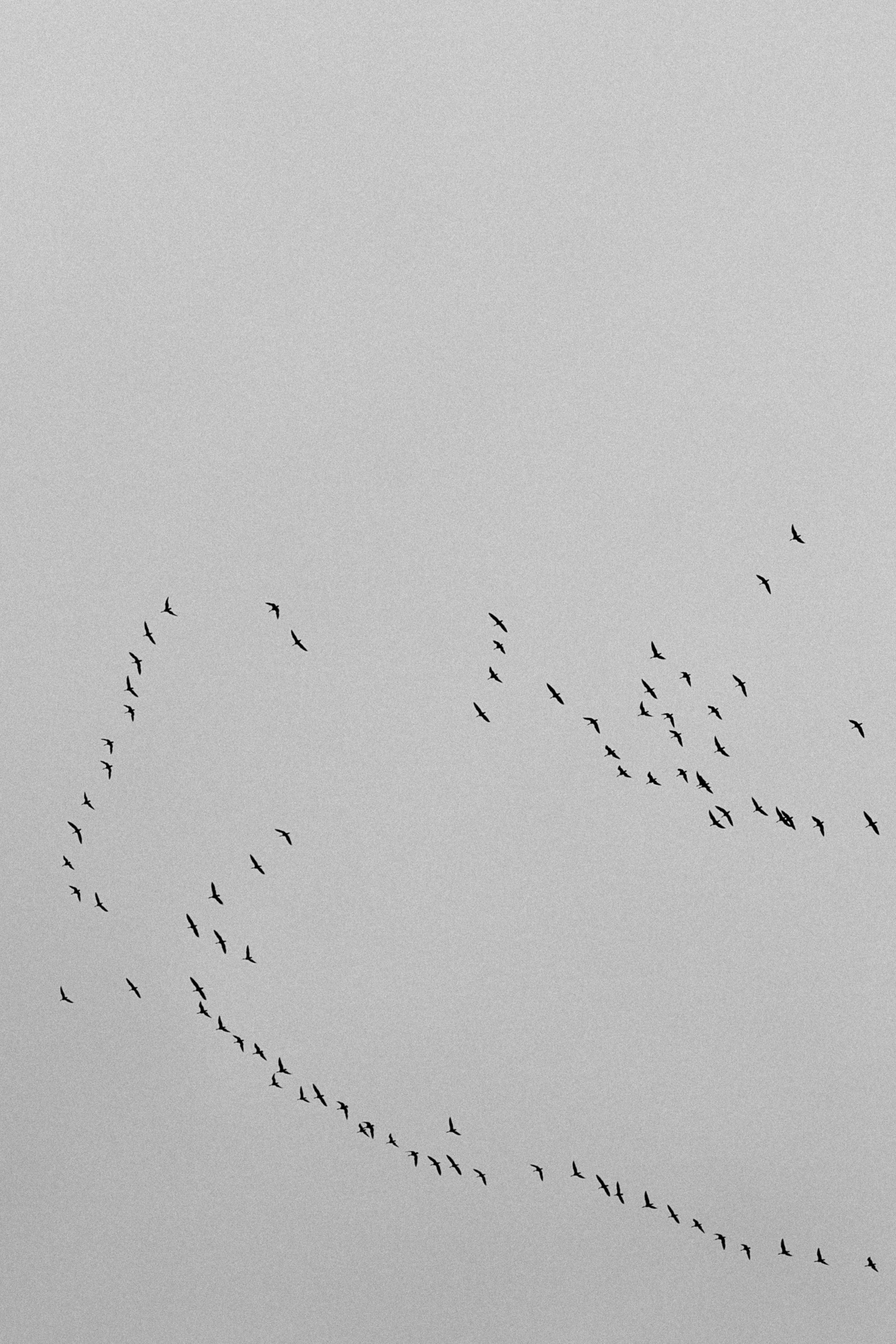 Индивидуальные. Главная