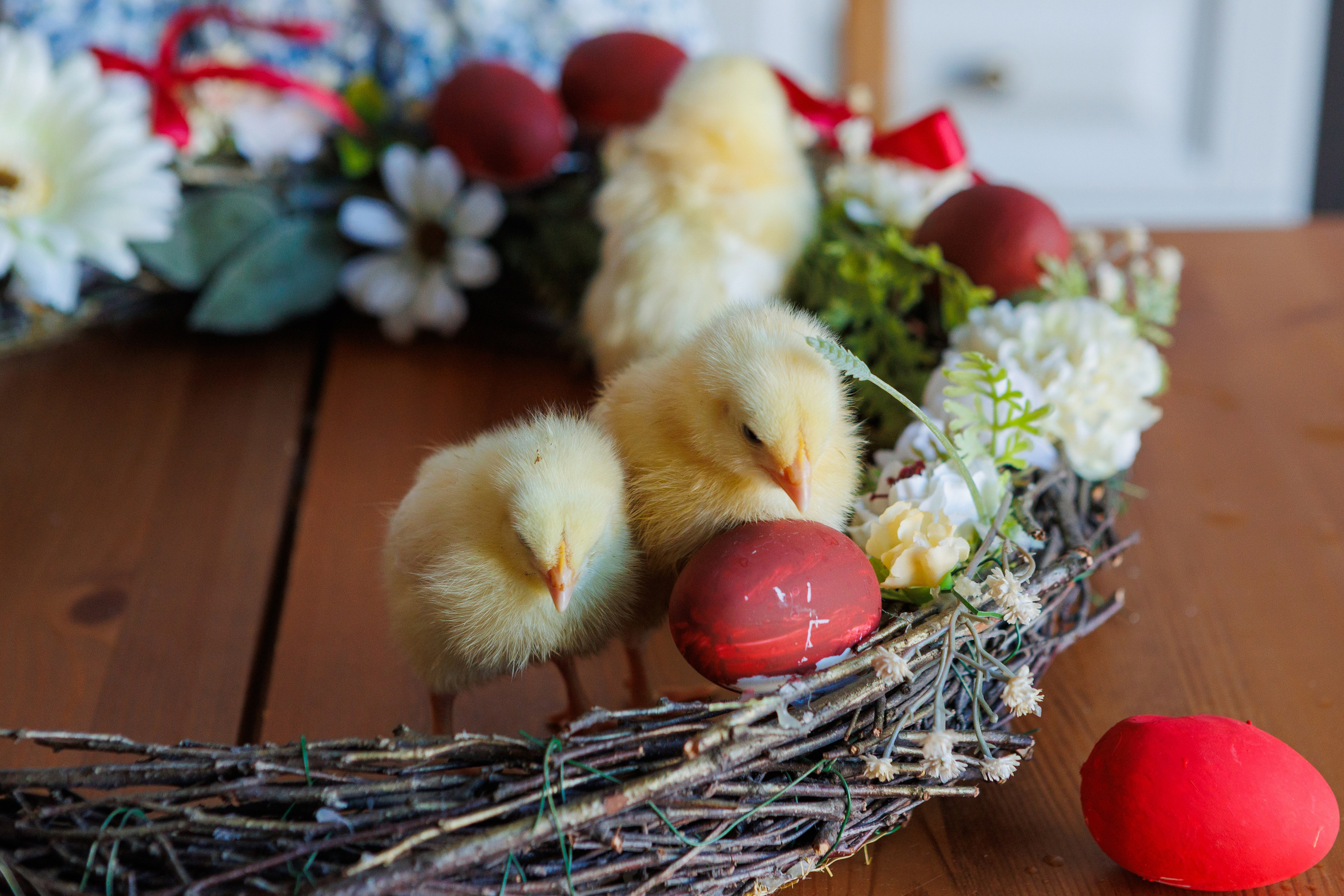 Пасхальный день. Фотограф в Санкт-Петербурге