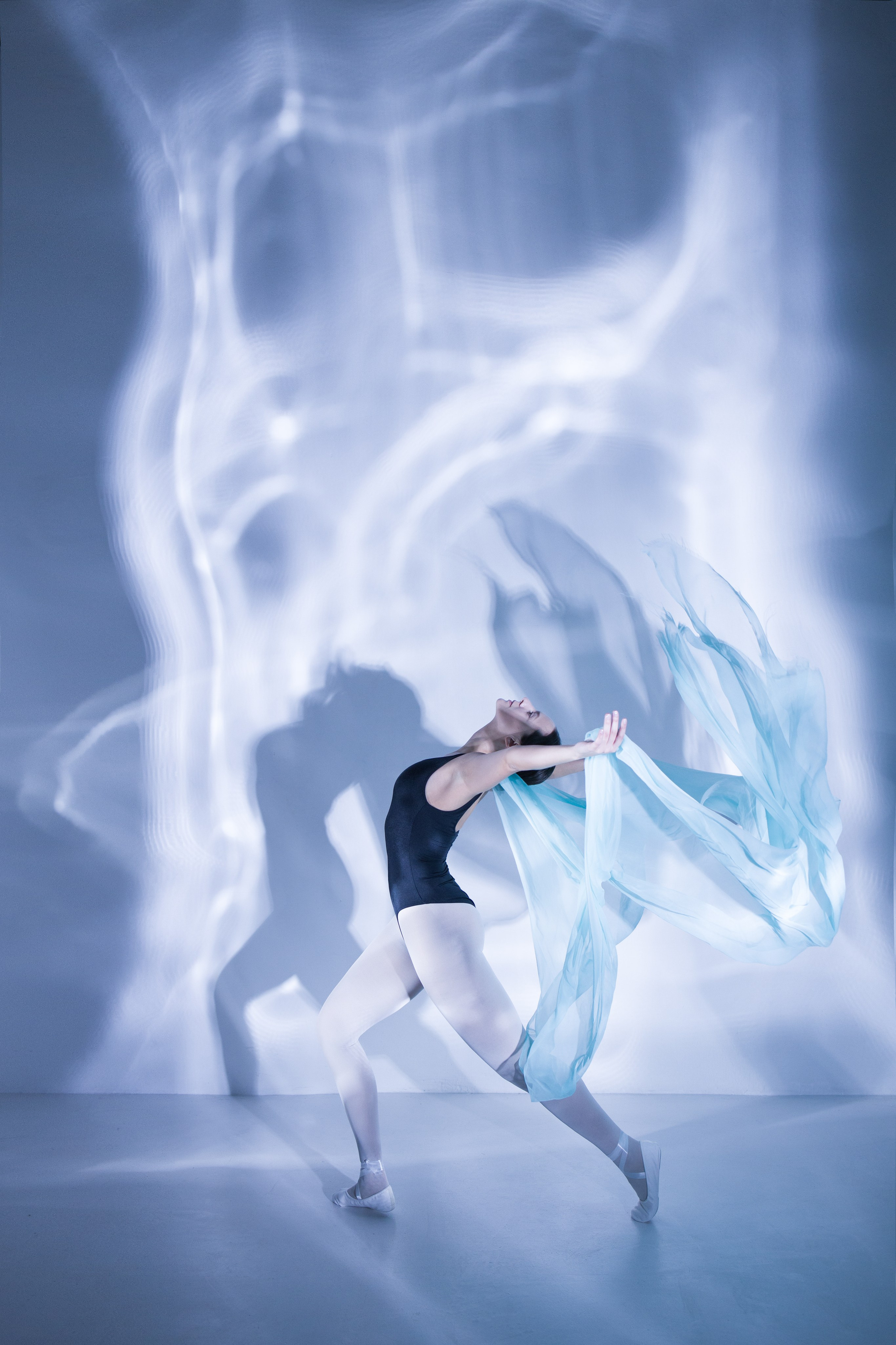 Лилия. Художественная фотография