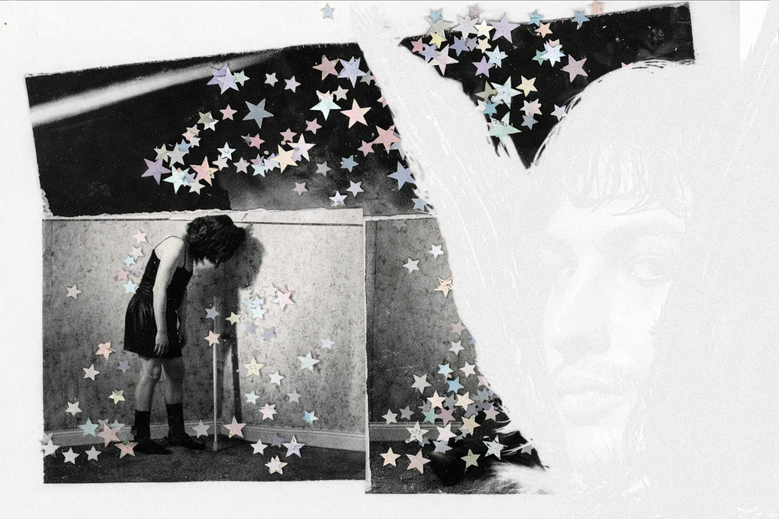 Bird in a cage. PLANTA ROSA — REPORTAGE