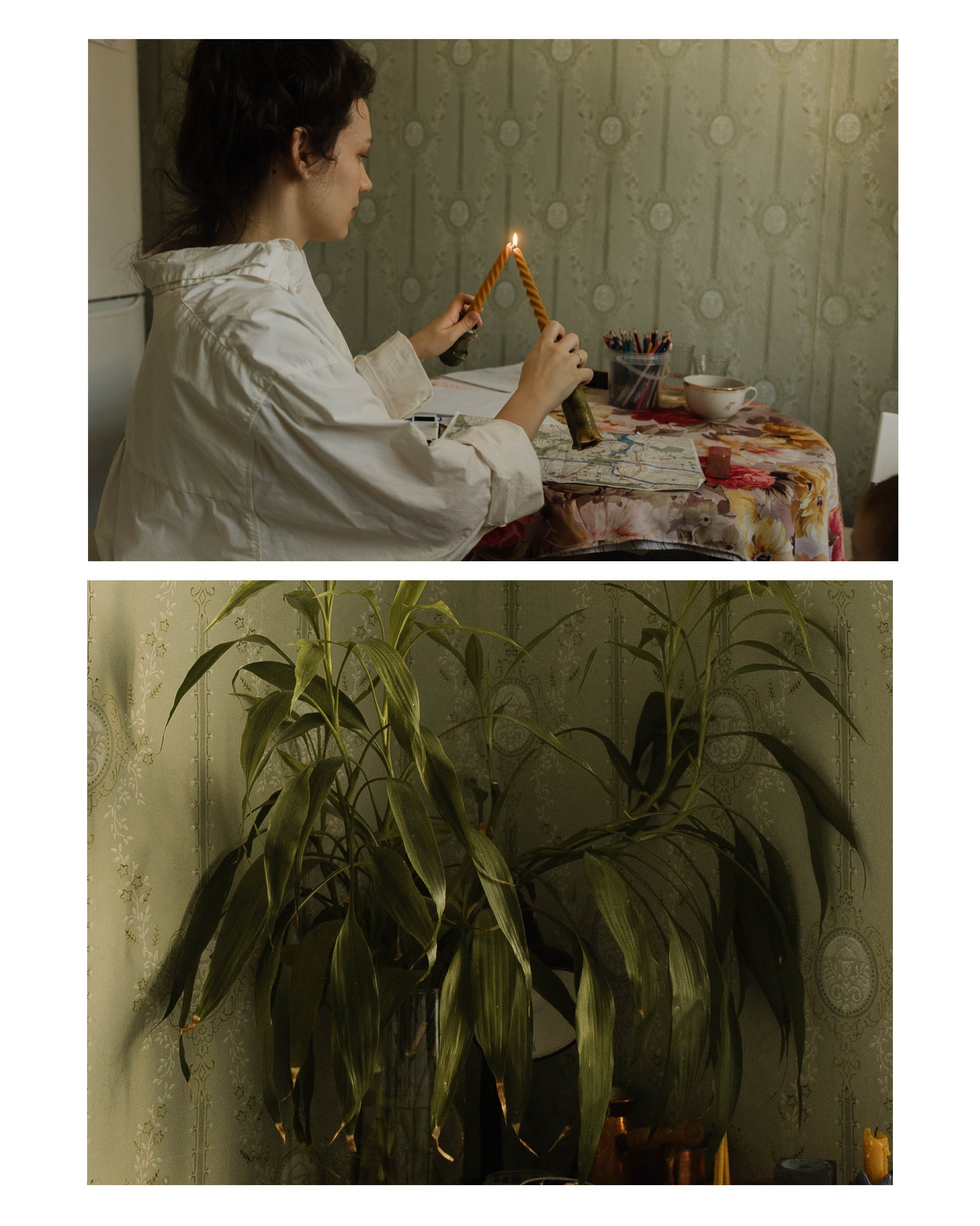 Семейные истории 2026