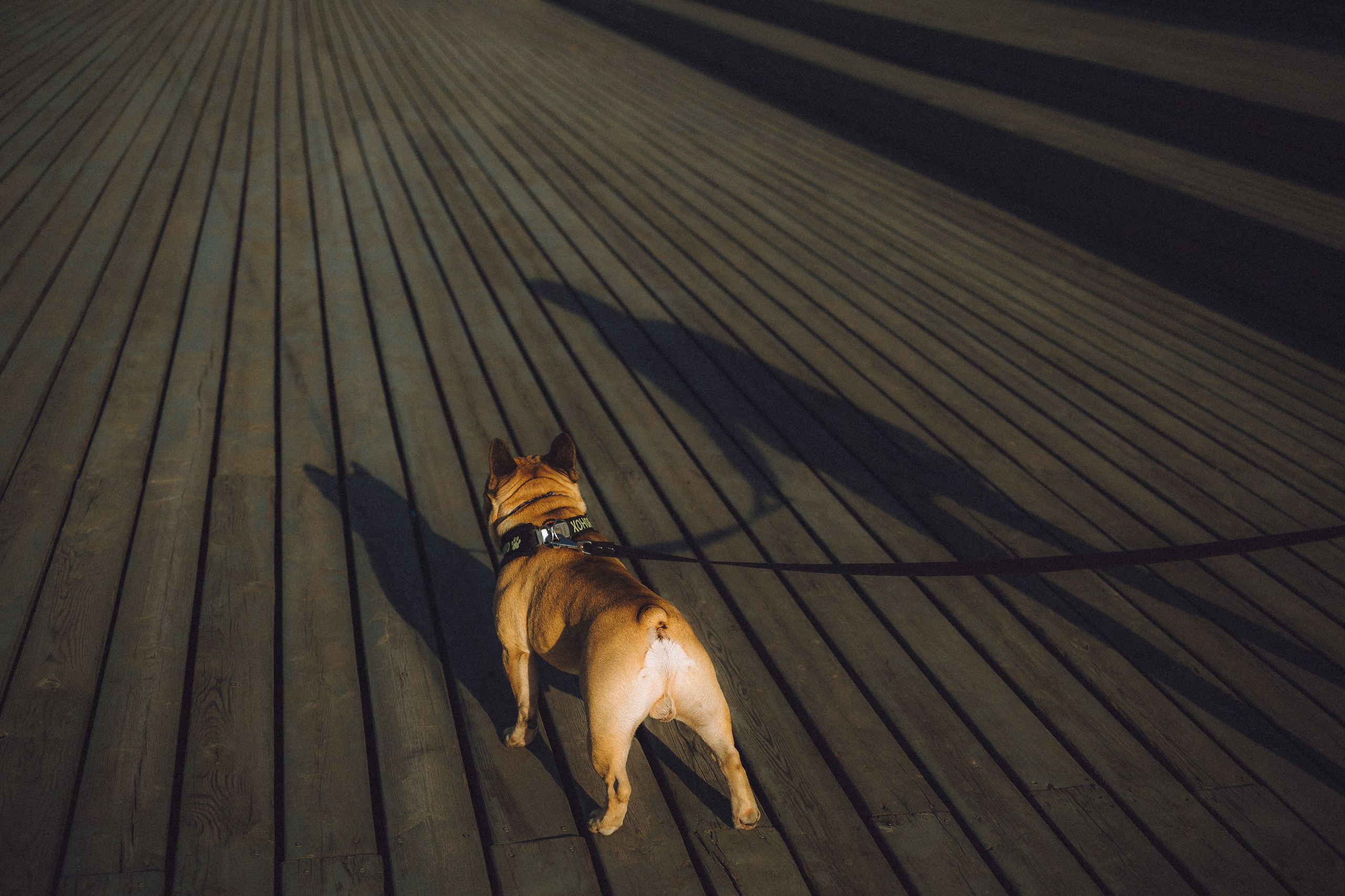 Настя, Женя и Хонор