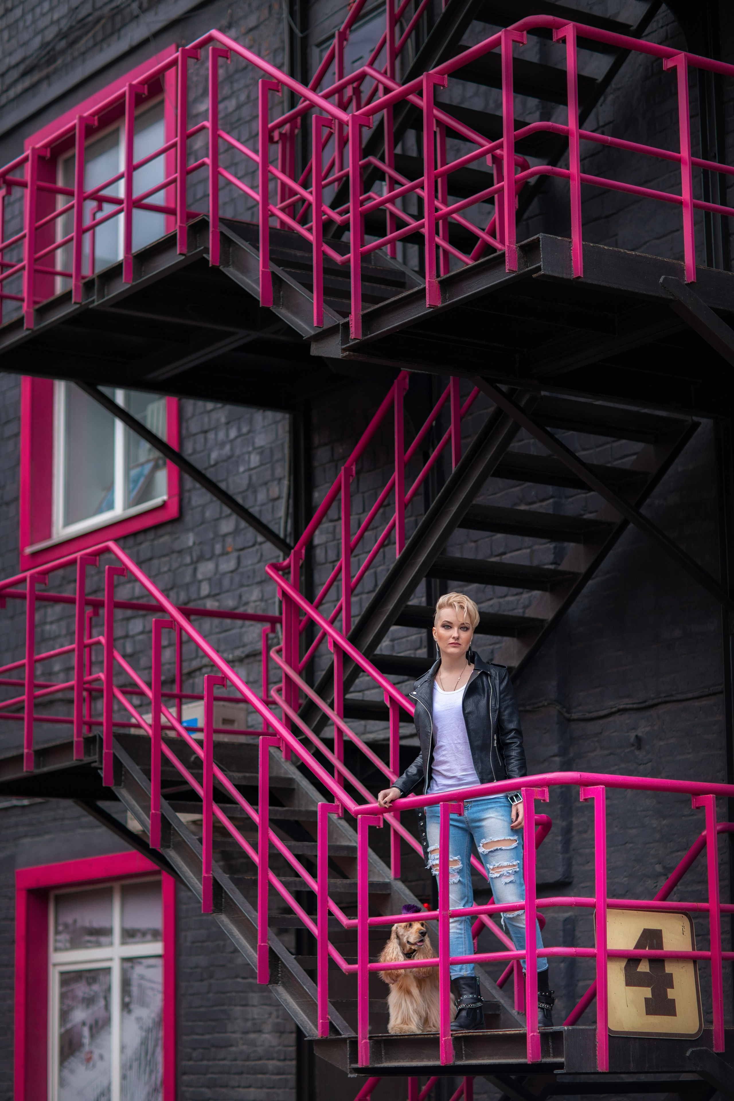 Фотопрогулка. Фотограф для Вашей собаки