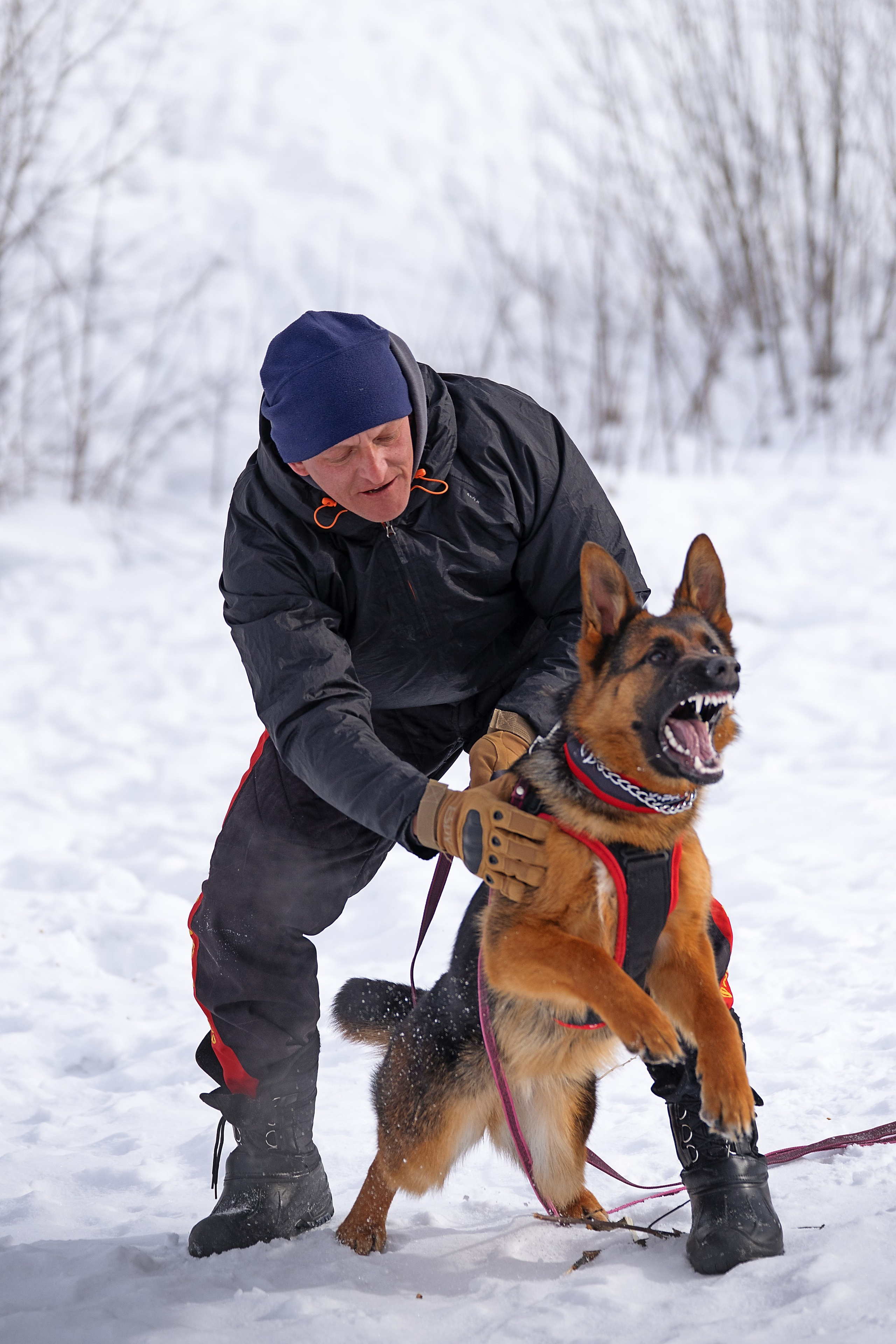 Репортажная съемка. Фотограф-анималист Нижний Новгород