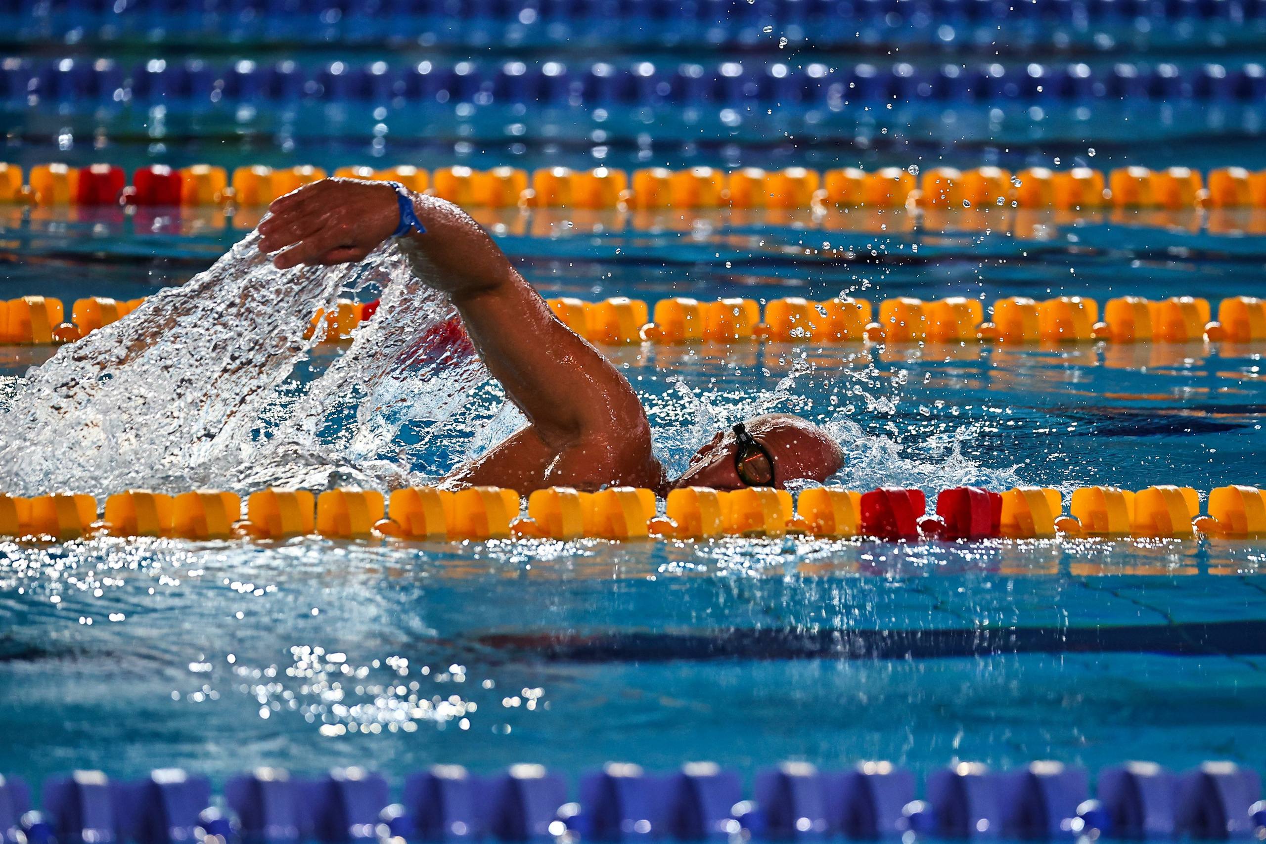 ДЗМ Плавание 2026. Фототерапевт Ева Бунеева