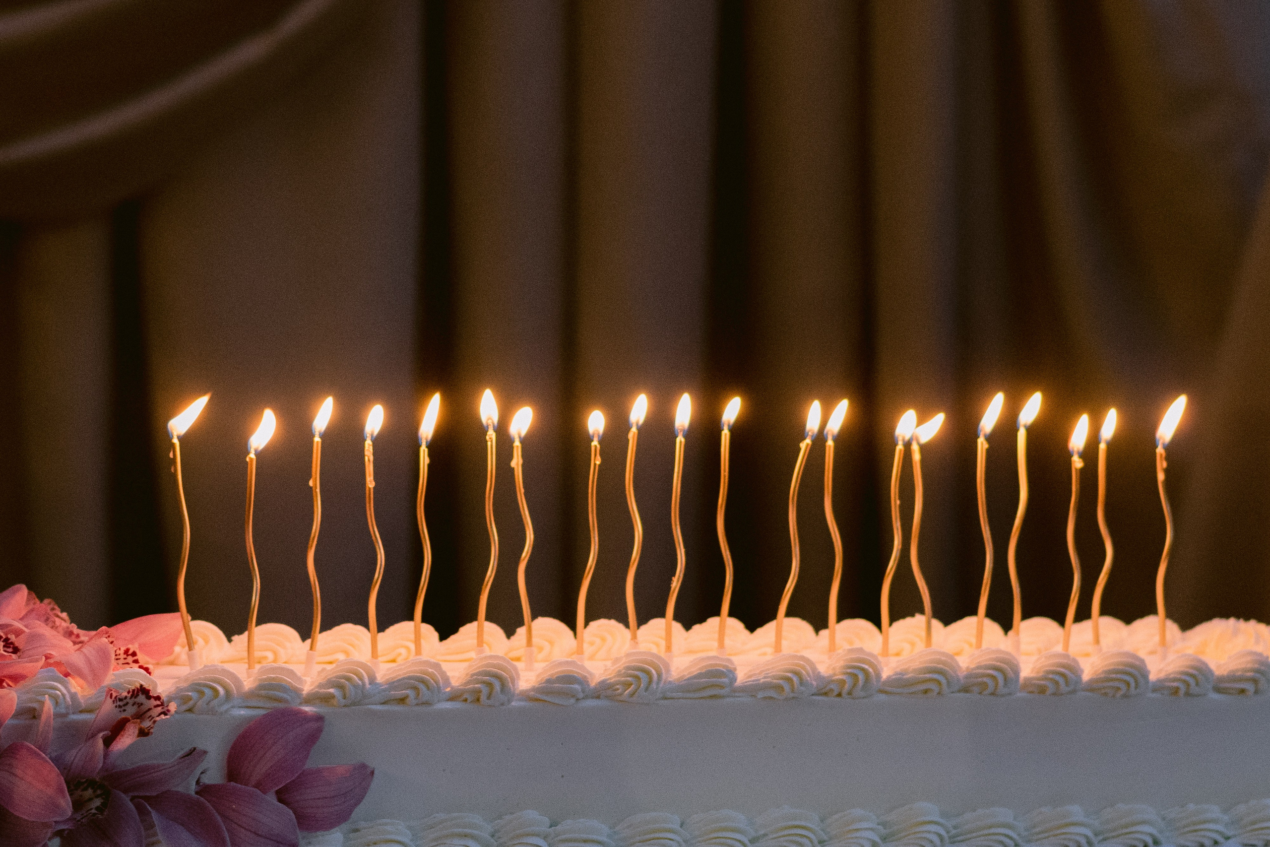 N&K. Свадебный фотограф Ижевск/Сарапул Анастасия Бель