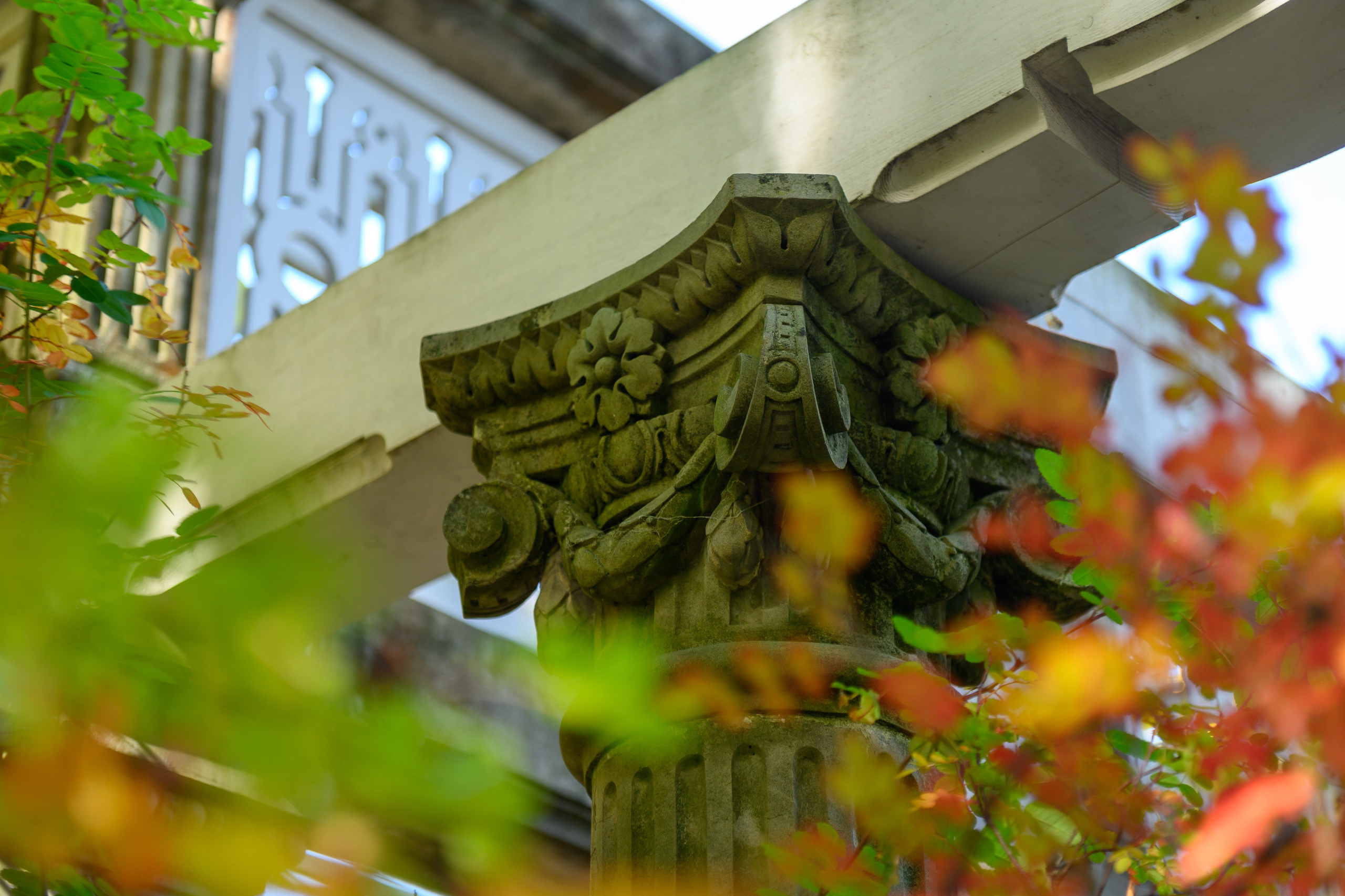 SAINT PETERSBURG | SUBURBS. Personal website of photographer Dmitry Raikin