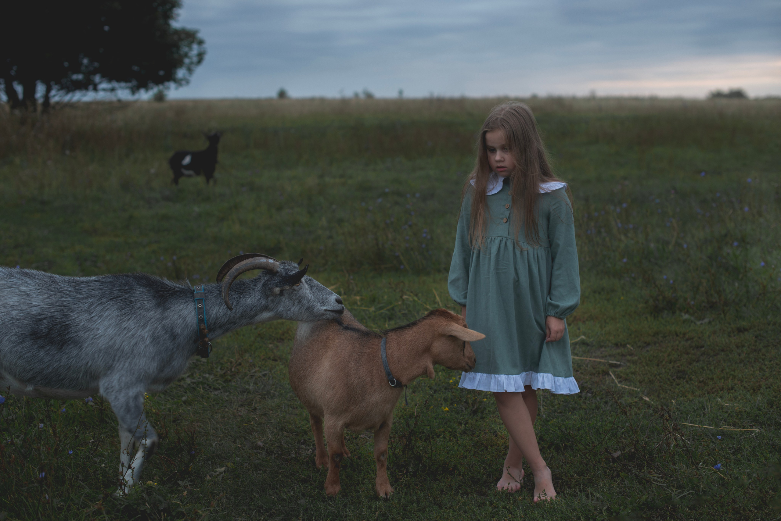 Сестры. Женский, детский и семейный фотограф