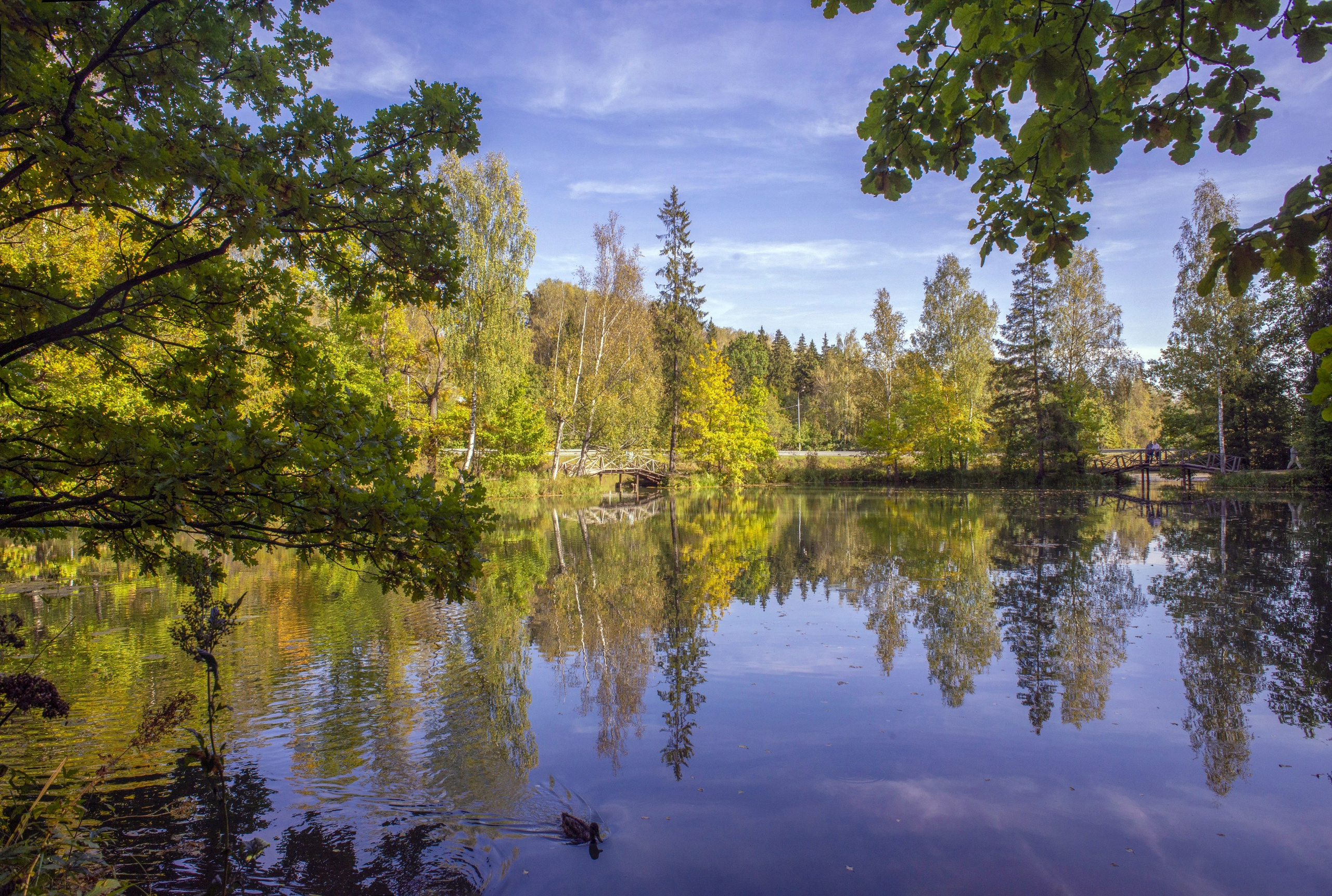 Абрамцево. Сентябрь 2023. Игорь Жучков. Россия увиденная глазами путешествующего фотографа