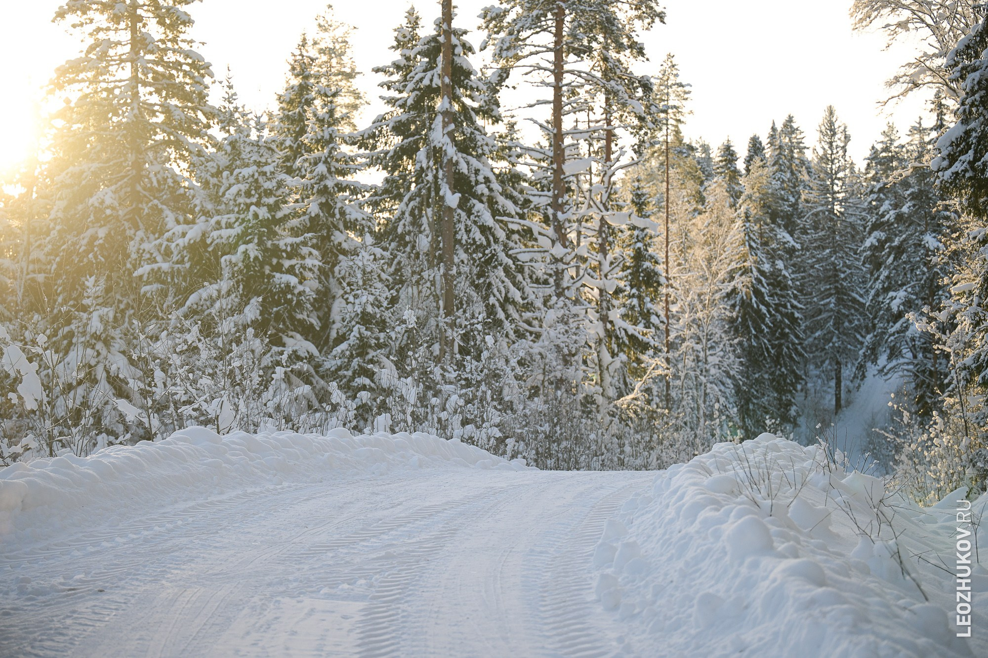 Ралли Лахденпохья 2026. Спортивный фотограф Леонид Жуков