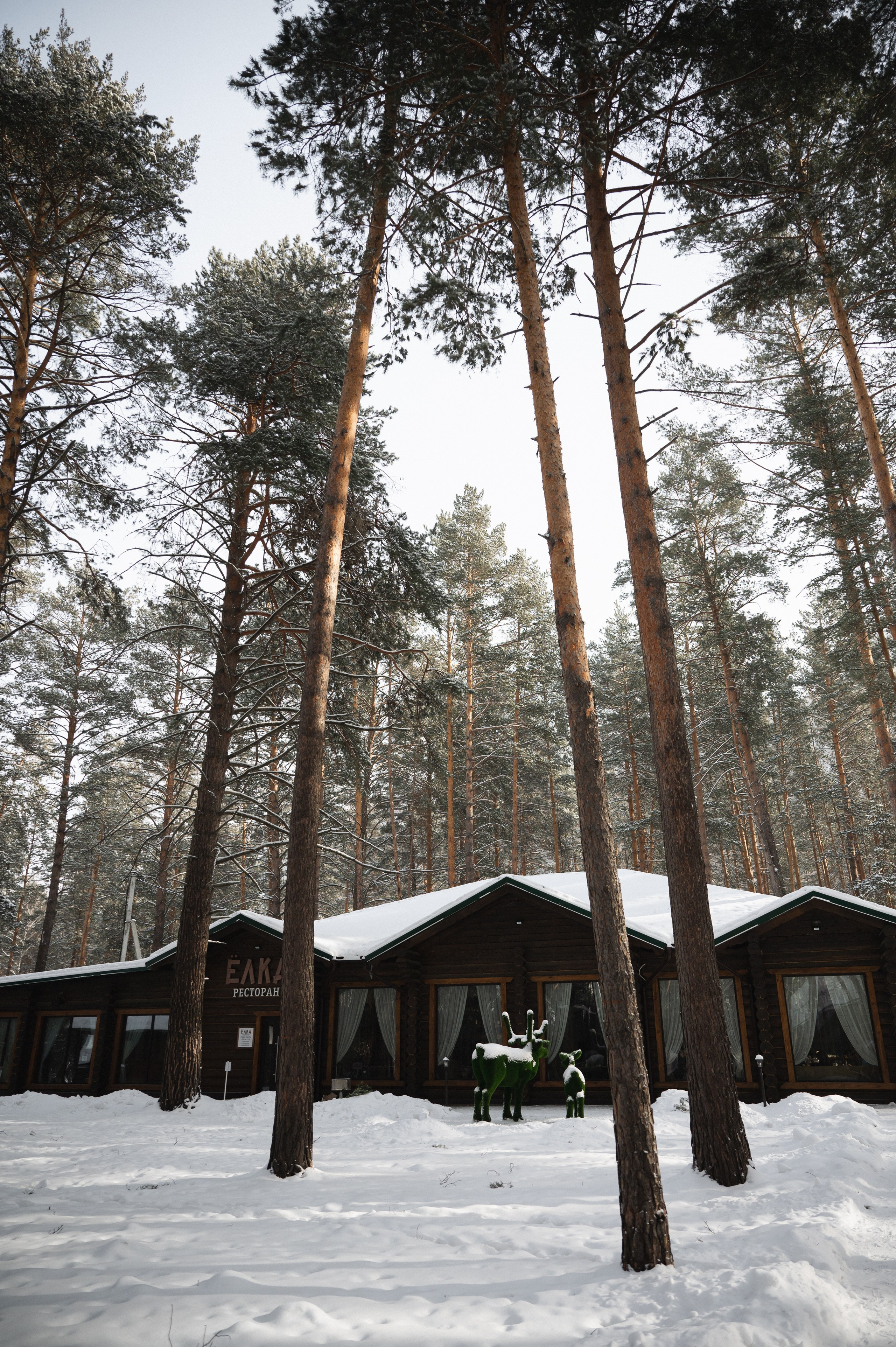 Раскуделимся!. Свадебный фотограф Наталья Доронина