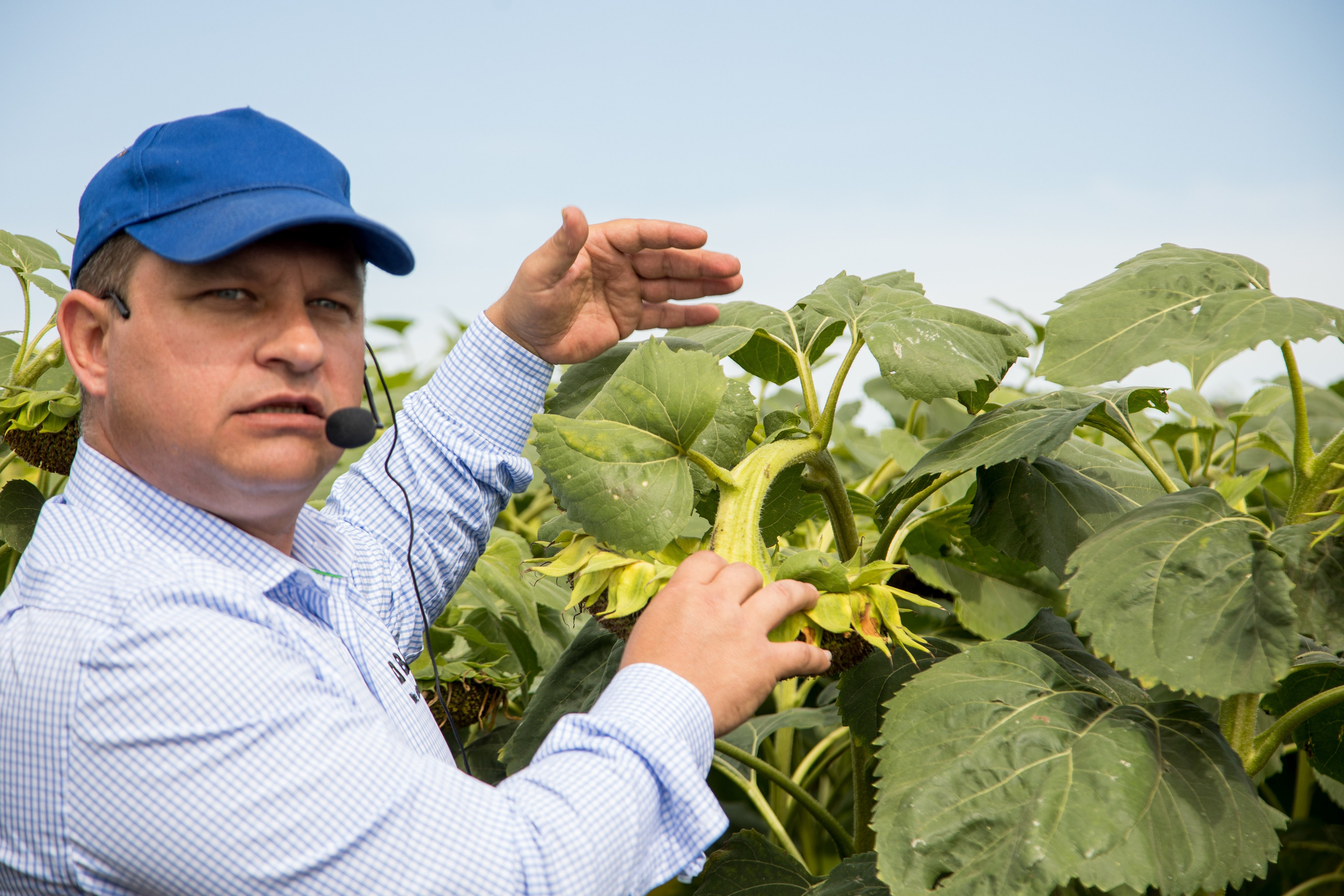 Решения для сельского хозяйства BASF 16.08.2022. Владислав Волков | Фотография и видеосъемка в Воронеже