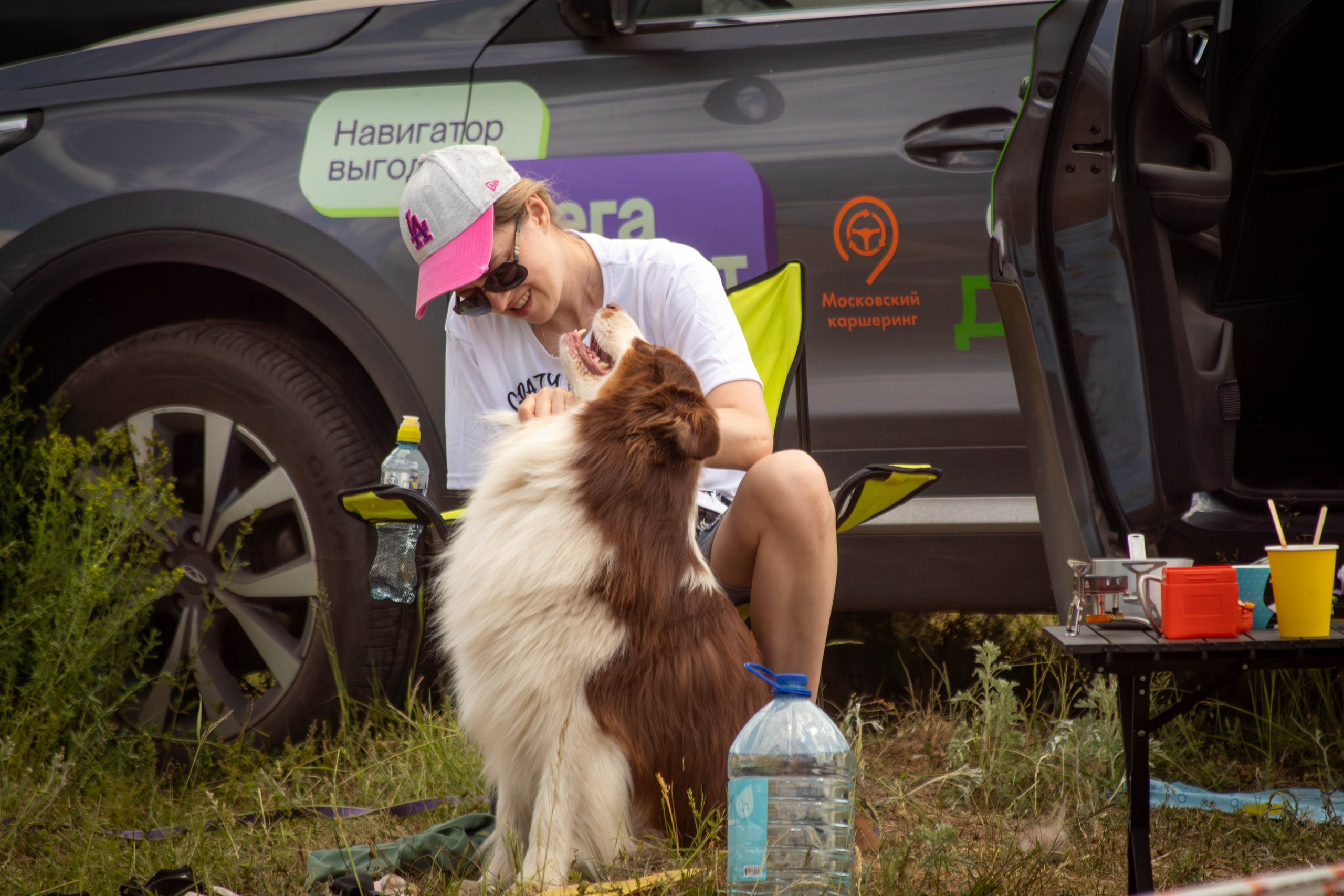 Хвостатый Драйв 2024. Фотограф анималист — Тула, Москва