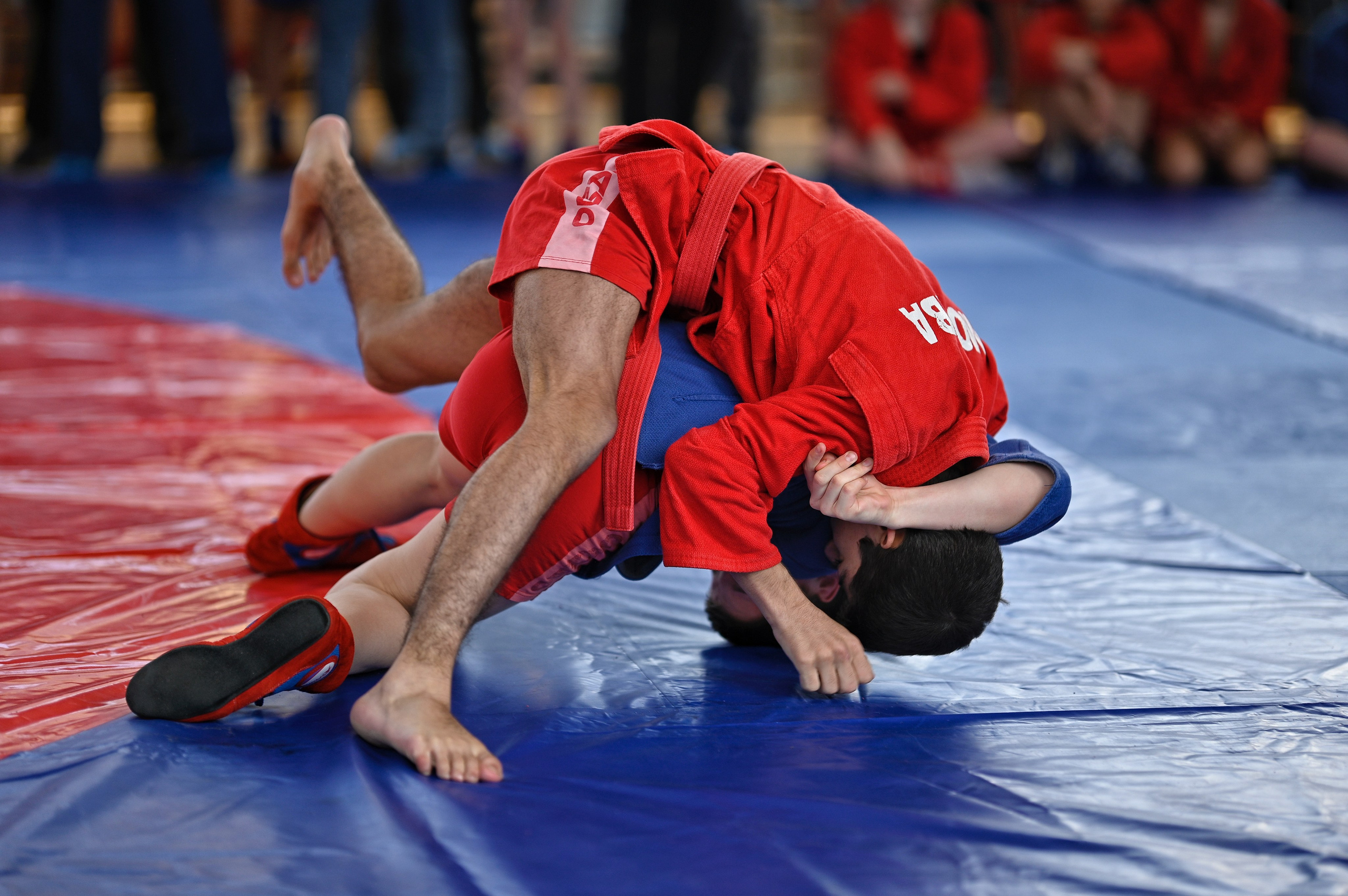 Самбо. Фотограф Ваших событий 📸