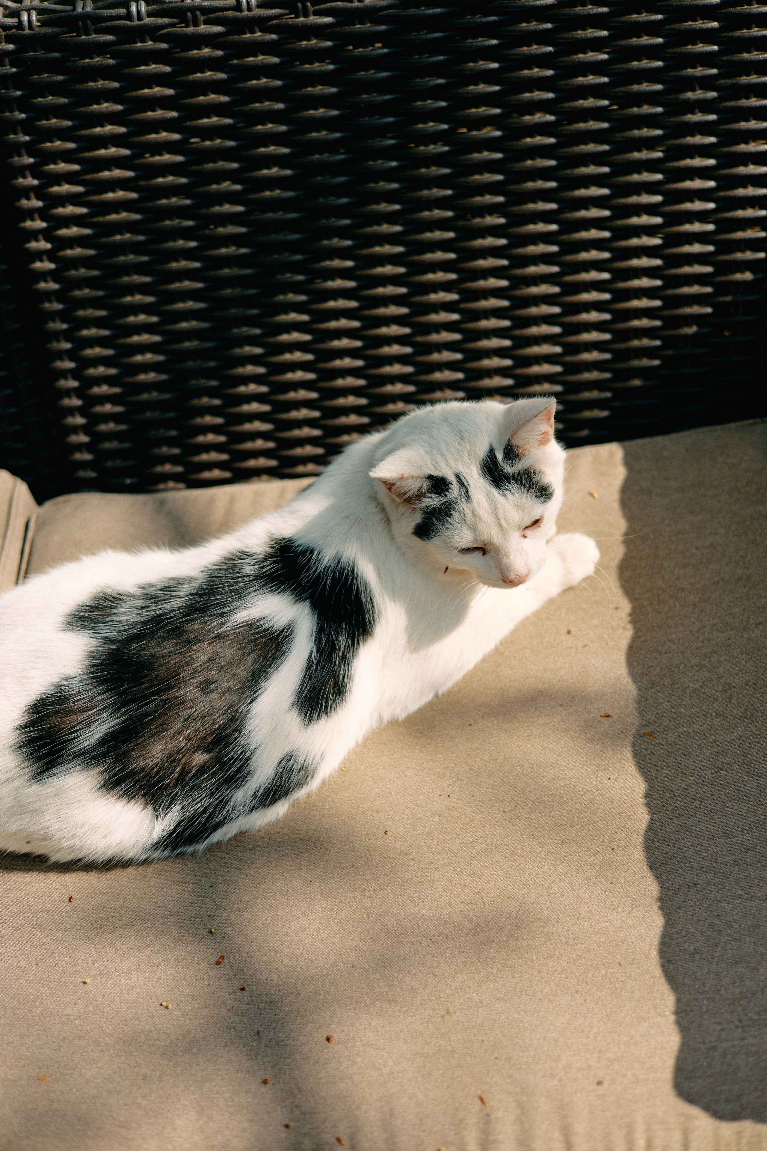 Бутик-отель Поле летом. Профессиональный Фотограф во Владимире, в Москве и в Суздале — Полина Романычева