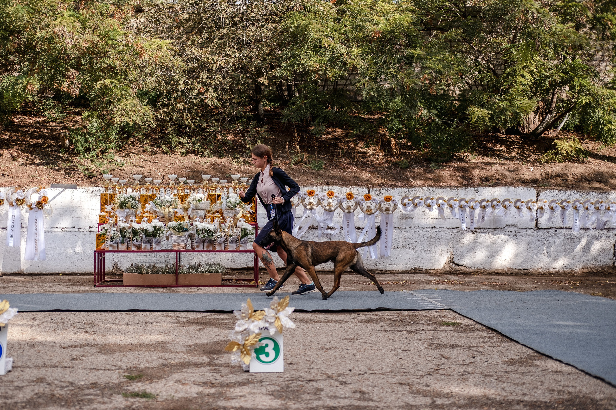 Выставки. Фотограф Марк Файзулин