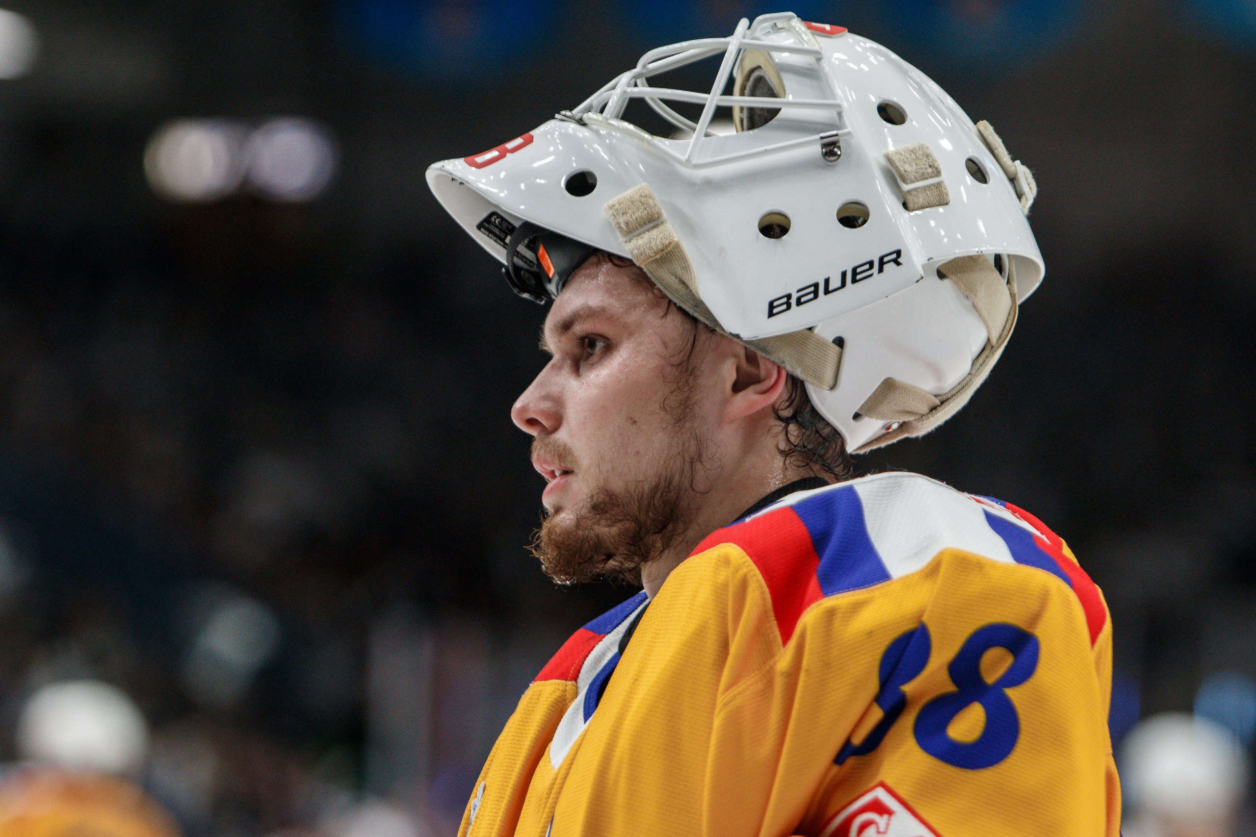 Торпедо-Горький — Химик. Спортивный фотограф в Смоленске — Екатерина Степенок