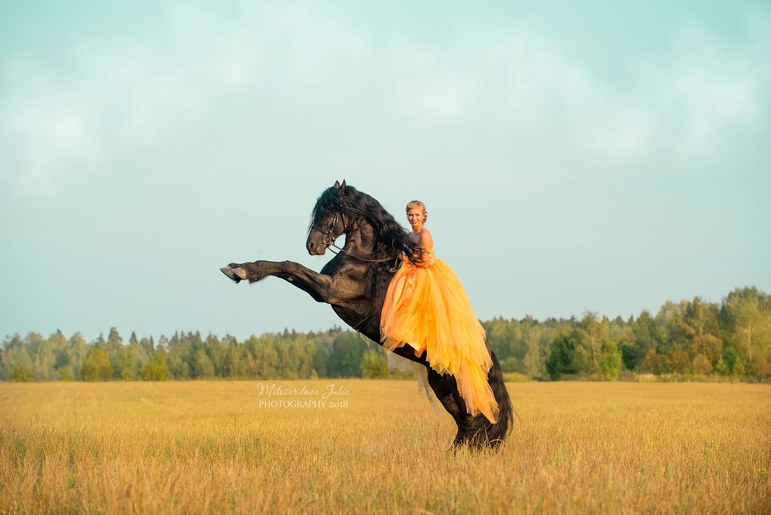 Фотосессии с лошадьми. Фотограф Юлия Милосердова