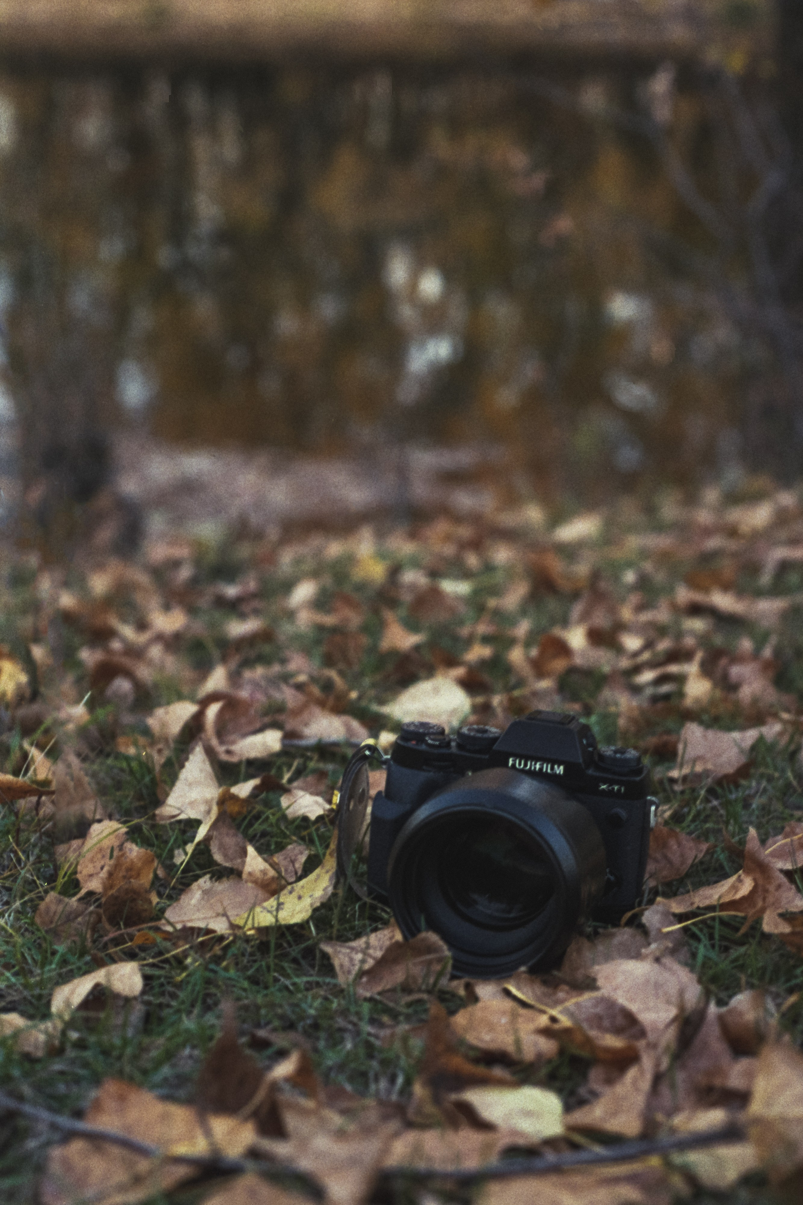 Пленочная история. Дмитрий Пропадалин, Нейрофотография