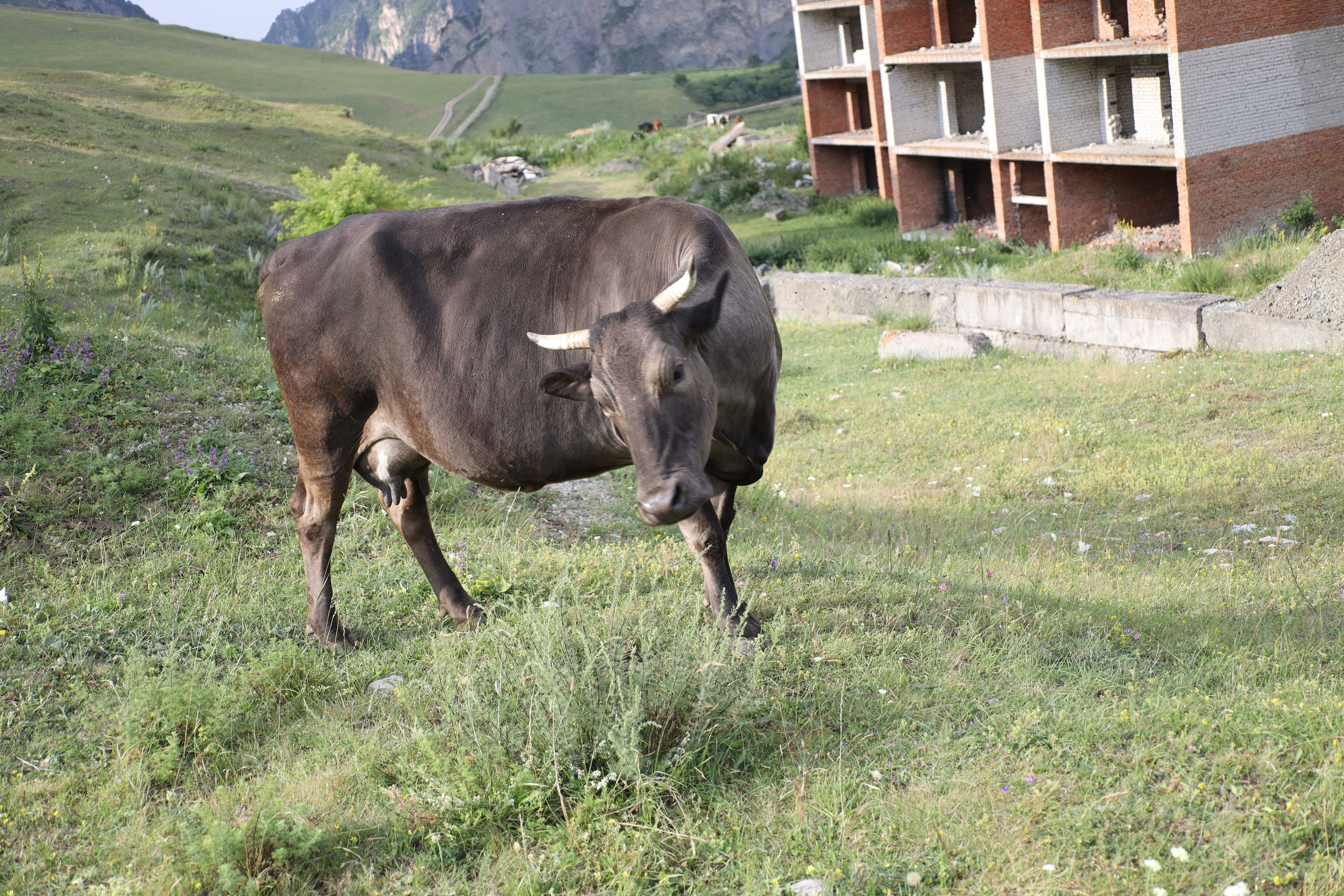 Северная Осетия июль 2025 год. Кармадон, Даргивз и Цей. Семейный детский фотограф Краснодарский край Оксана Колос