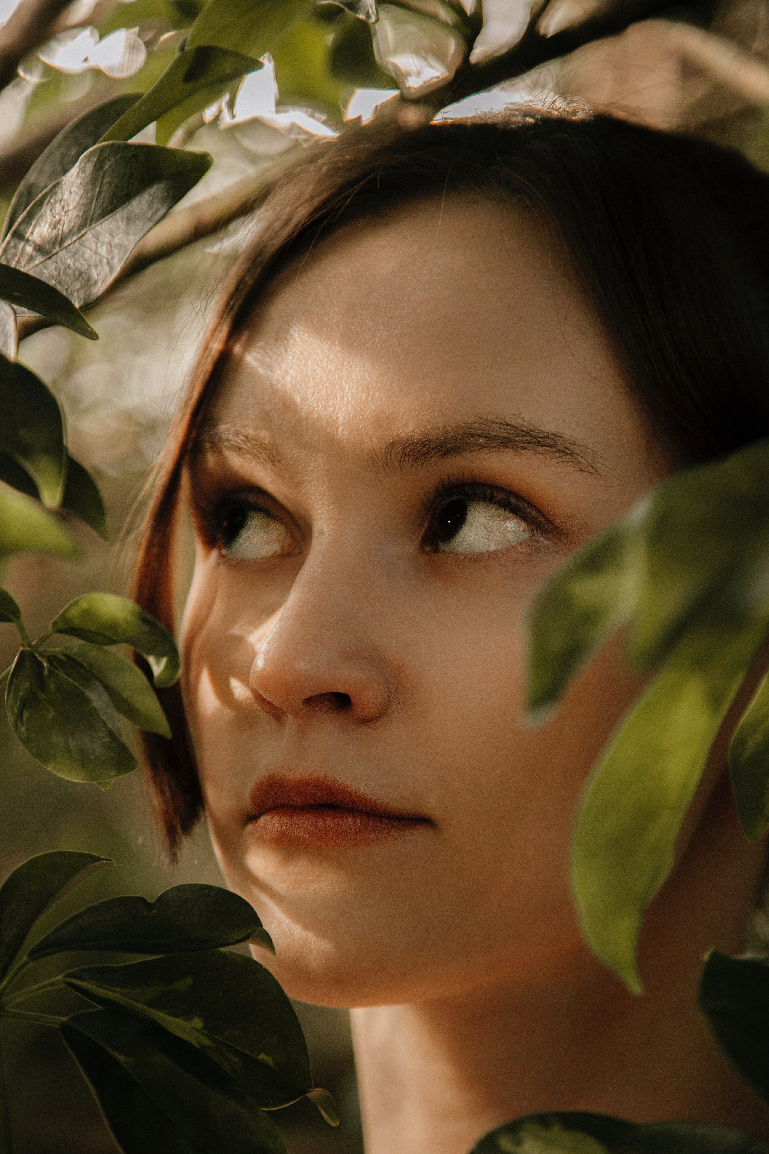 Оранжерея Таврического сада